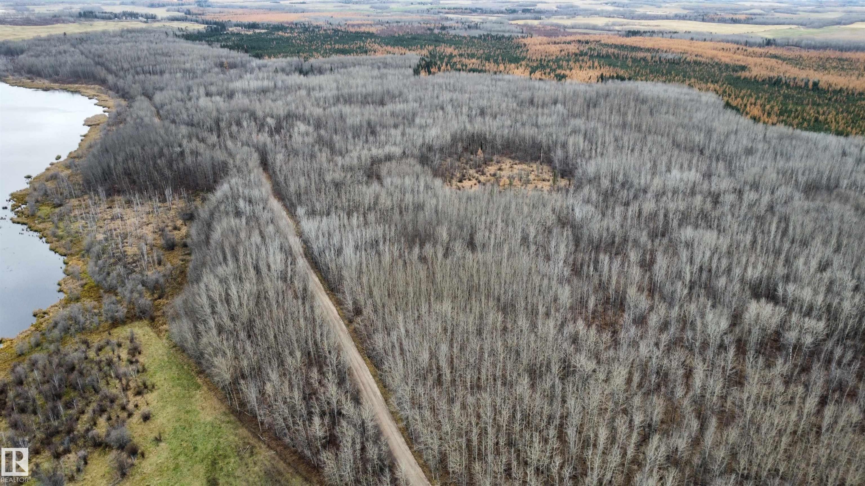 Expansive wooded acreage featuring diverse tree coverage - Rge Rd 62, Rural Barrhead County, AB
