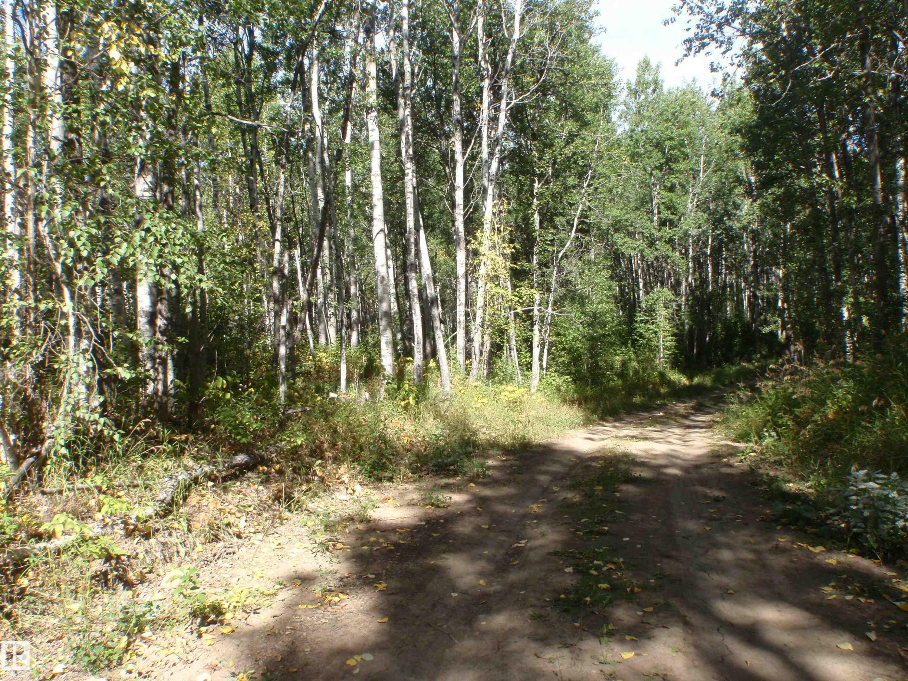 View of street - Rge Rd 62, Rural Barrhead County, AB