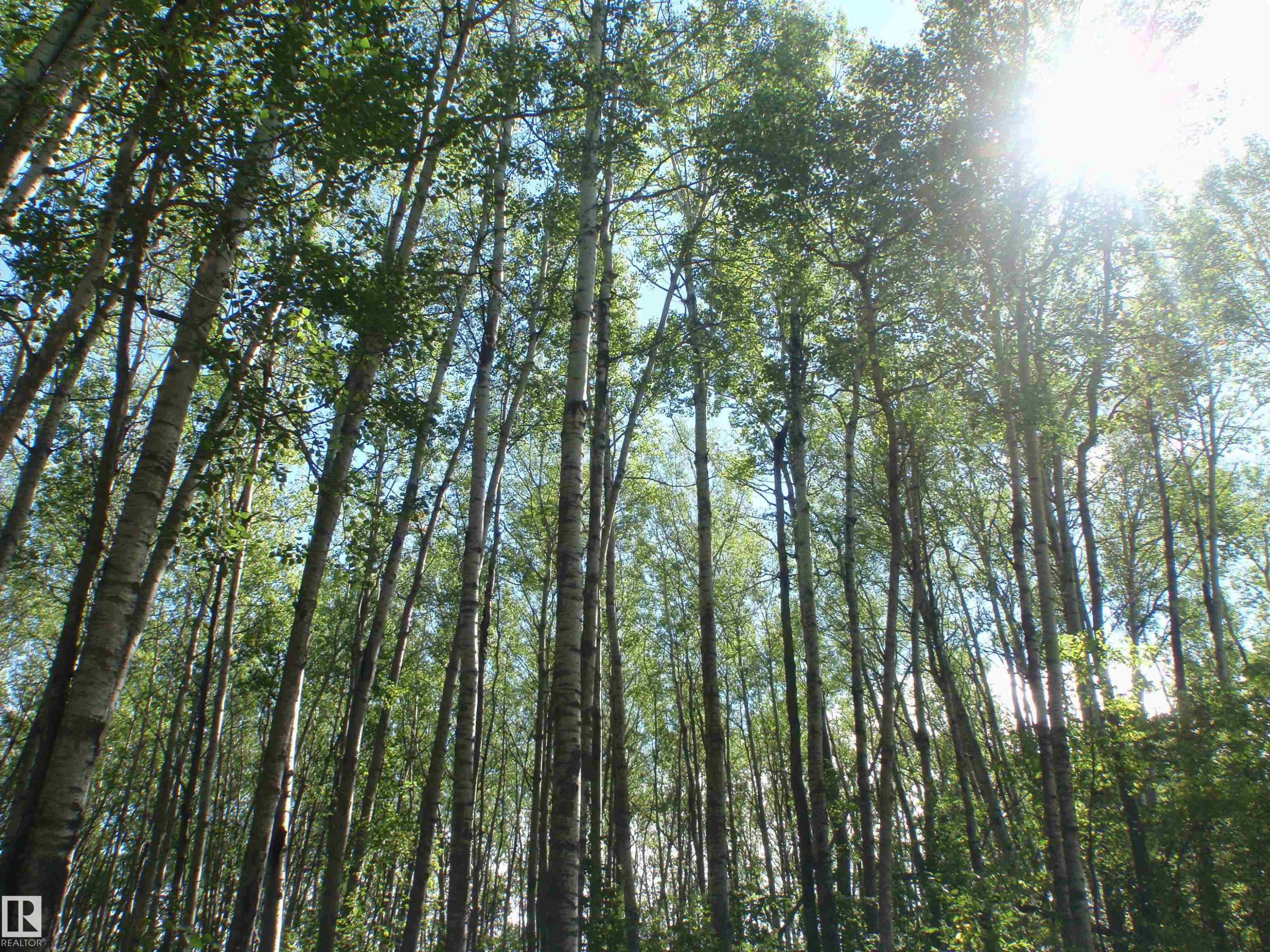 Nature - Rge Rd 62, Rural Barrhead County, AB