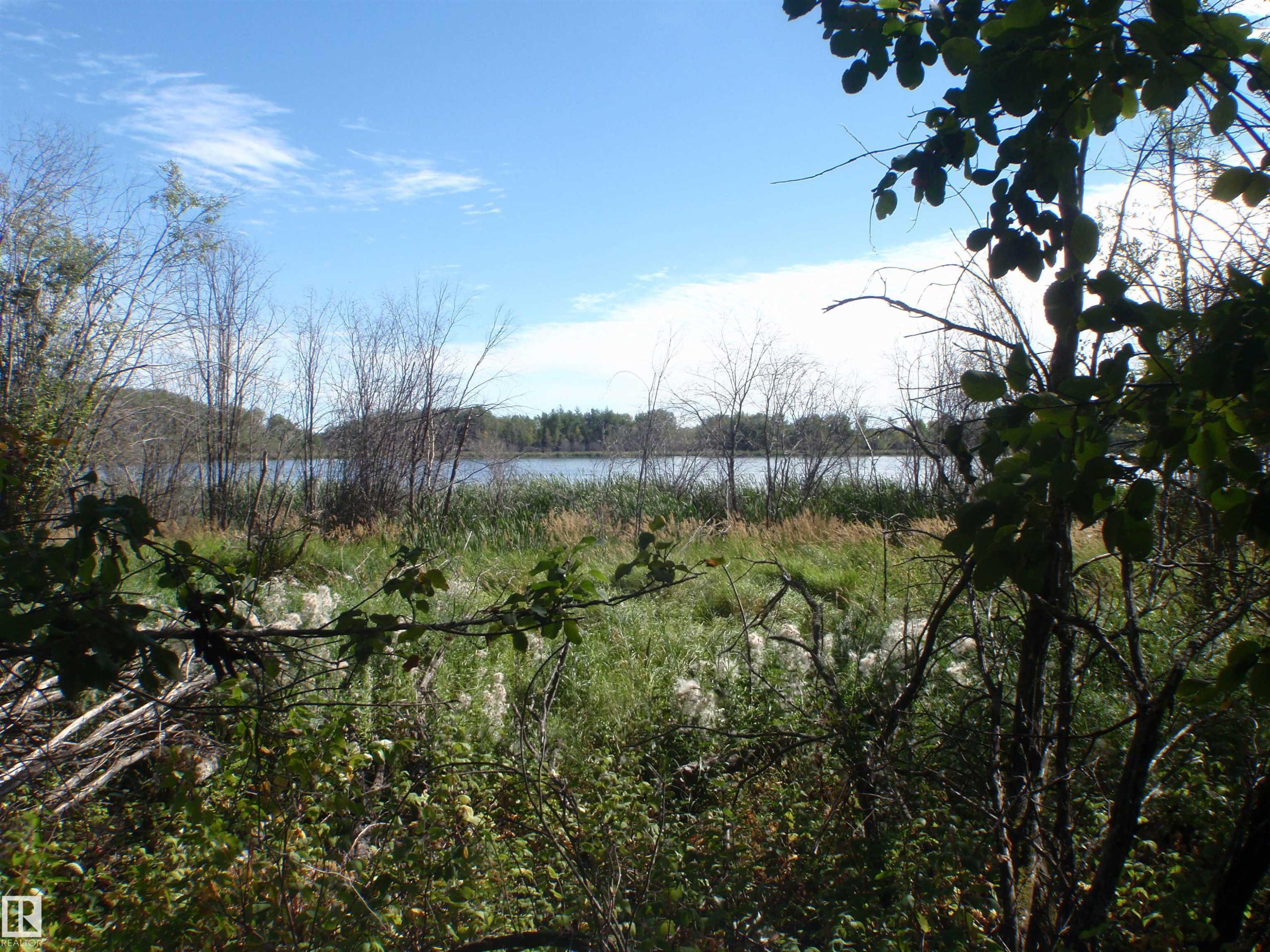 Natural landscape featuring a body of water, a grassy shoreline, and lush foreground foliage - Rge Rd 62, Rural Barrhead County, AB