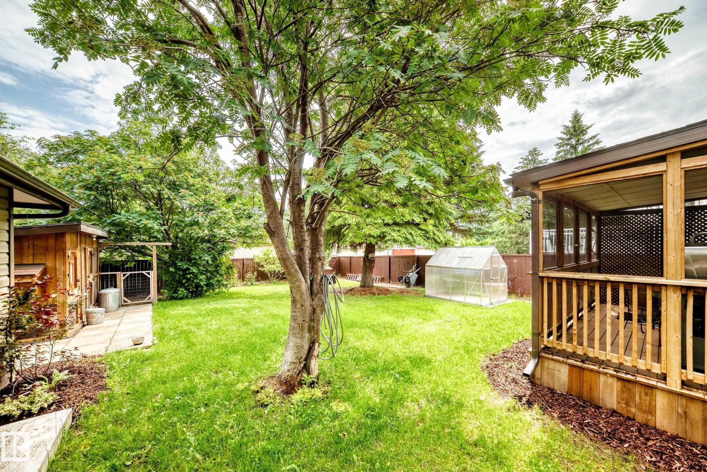 Expansive backyard featuring a covered wood deck, mature trees, a visible greenhouse, a wood-sided outbuilding, and a level lawn area - 1763 48A Street, Edmonton, AB