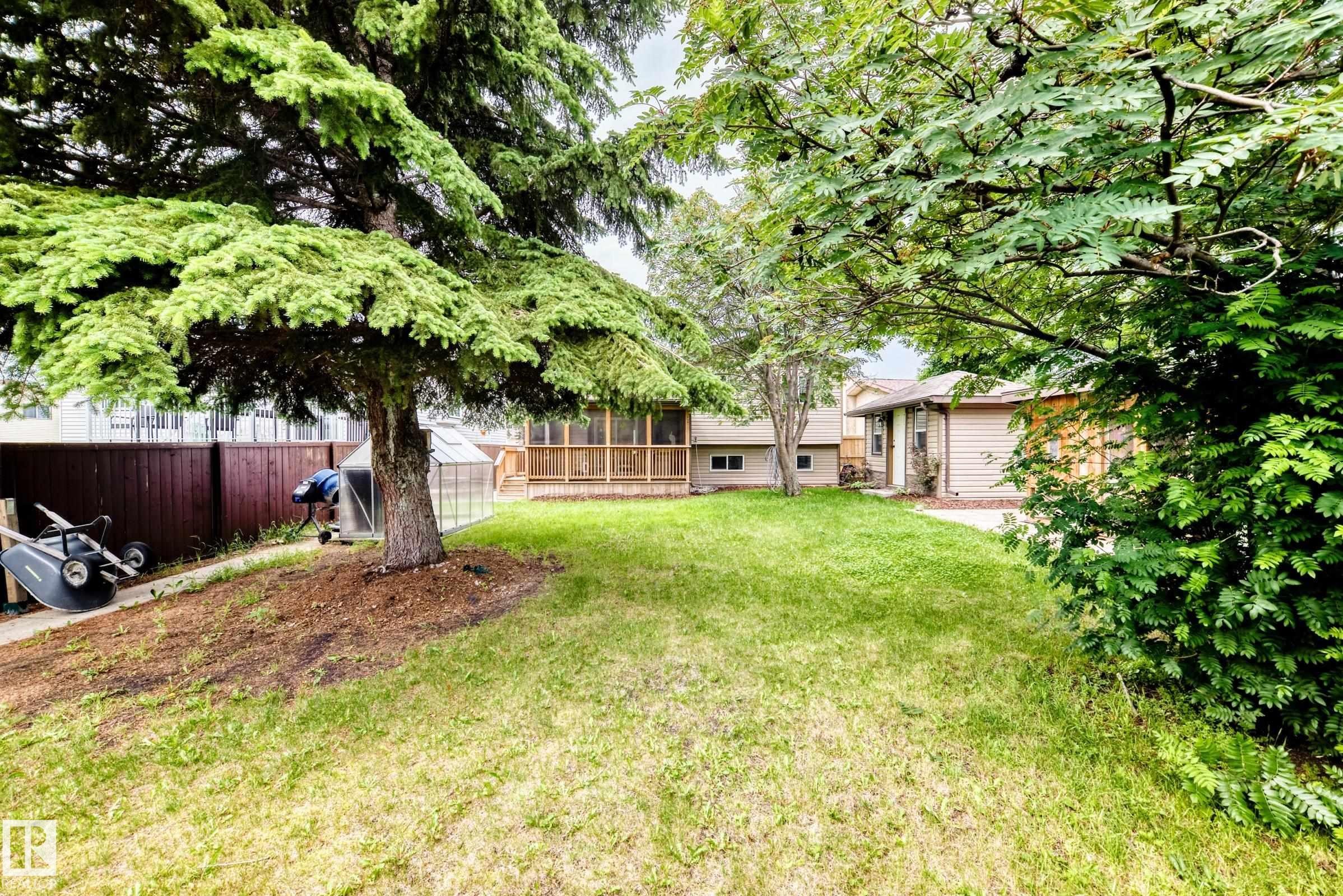 Expansive grassy yard featuring mature trees and a fenced perimeter - 1763 48A Street, Edmonton, AB