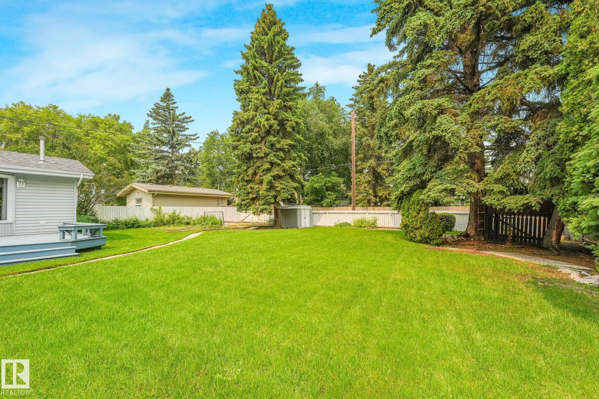 Expansive lawn area featuring mature evergreen trees and a light gray siding exterior with a blue deck - 13320 79 Avenue Nw, Edmonton, AB - Outdoor