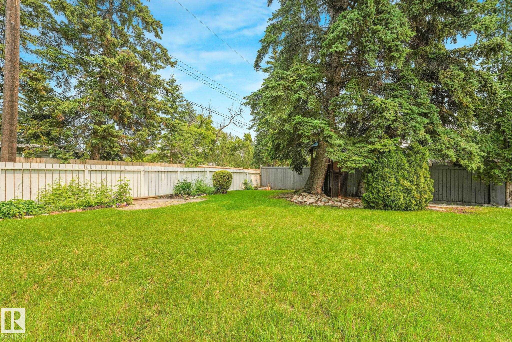 Expansive green lawn featuring a large mature tree, white privacy fencing, and surrounding established greenery - 13320 79 Avenue Nw, Edmonton, AB - Outdoor