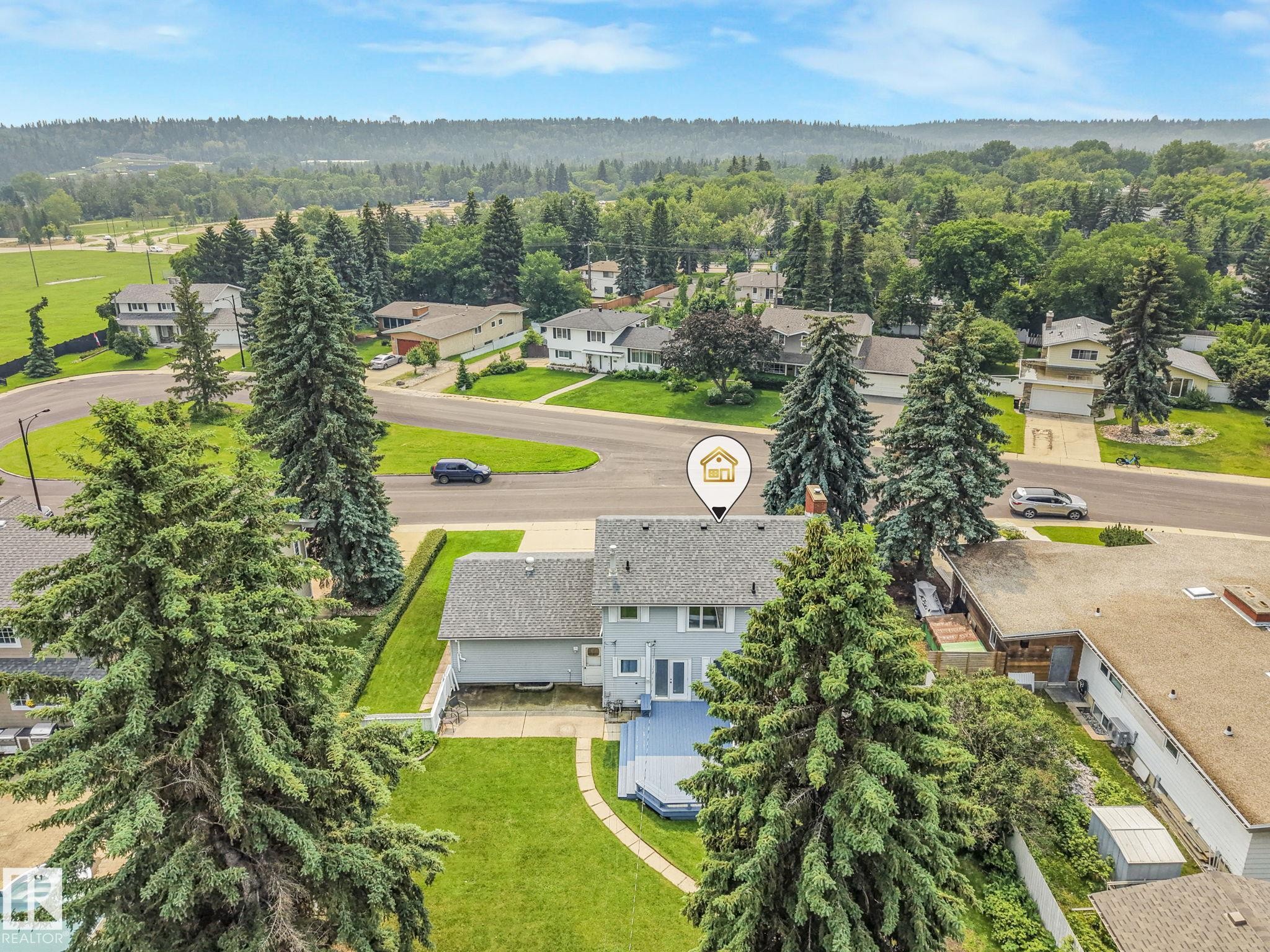 Expansive backyard featuring a manicured lawn, mature evergreen trees, and a multi-level wooden deck - 13320 79 Avenue Nw, Edmonton, AB - Outdoor With View