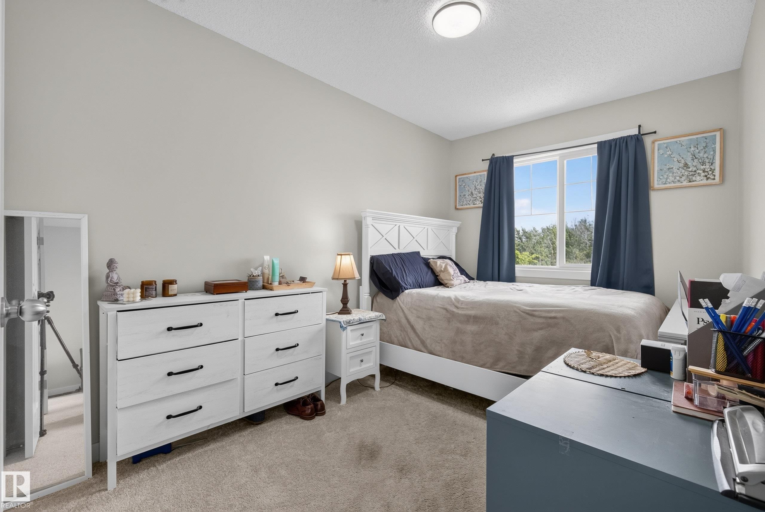 Bedroom featuring a window with natural light, light gray walls, textured carpet, and a flush mount ceiling light - 5129 Lark Crescent Nw, Edmonton, AB - Indoor Photo Showing Bedroom