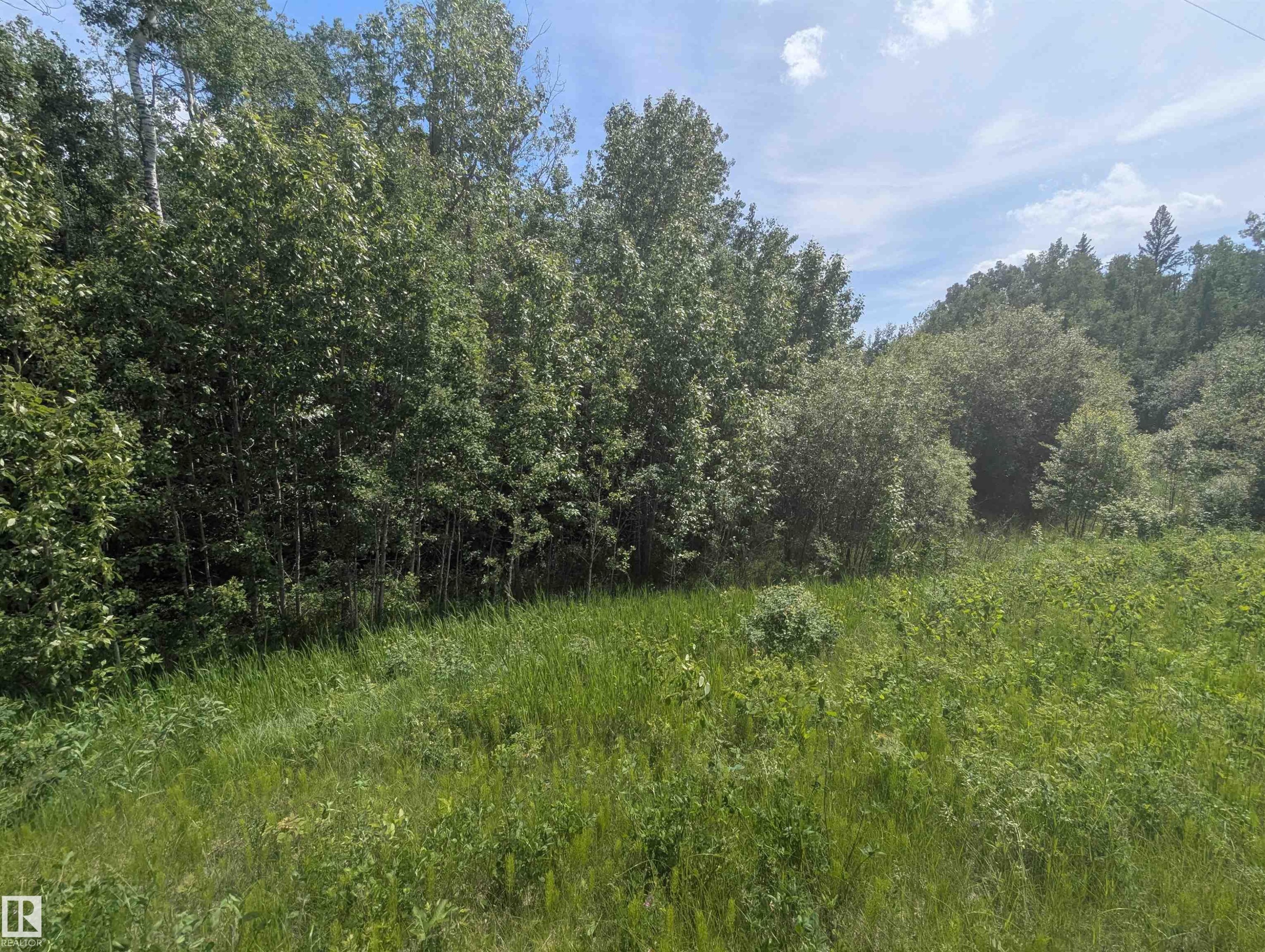 Expansive natural landscape featuring lush green foliage and mature deciduous trees - #38 56110 Rge Road 13, Rural Lac Ste. Anne County, AB