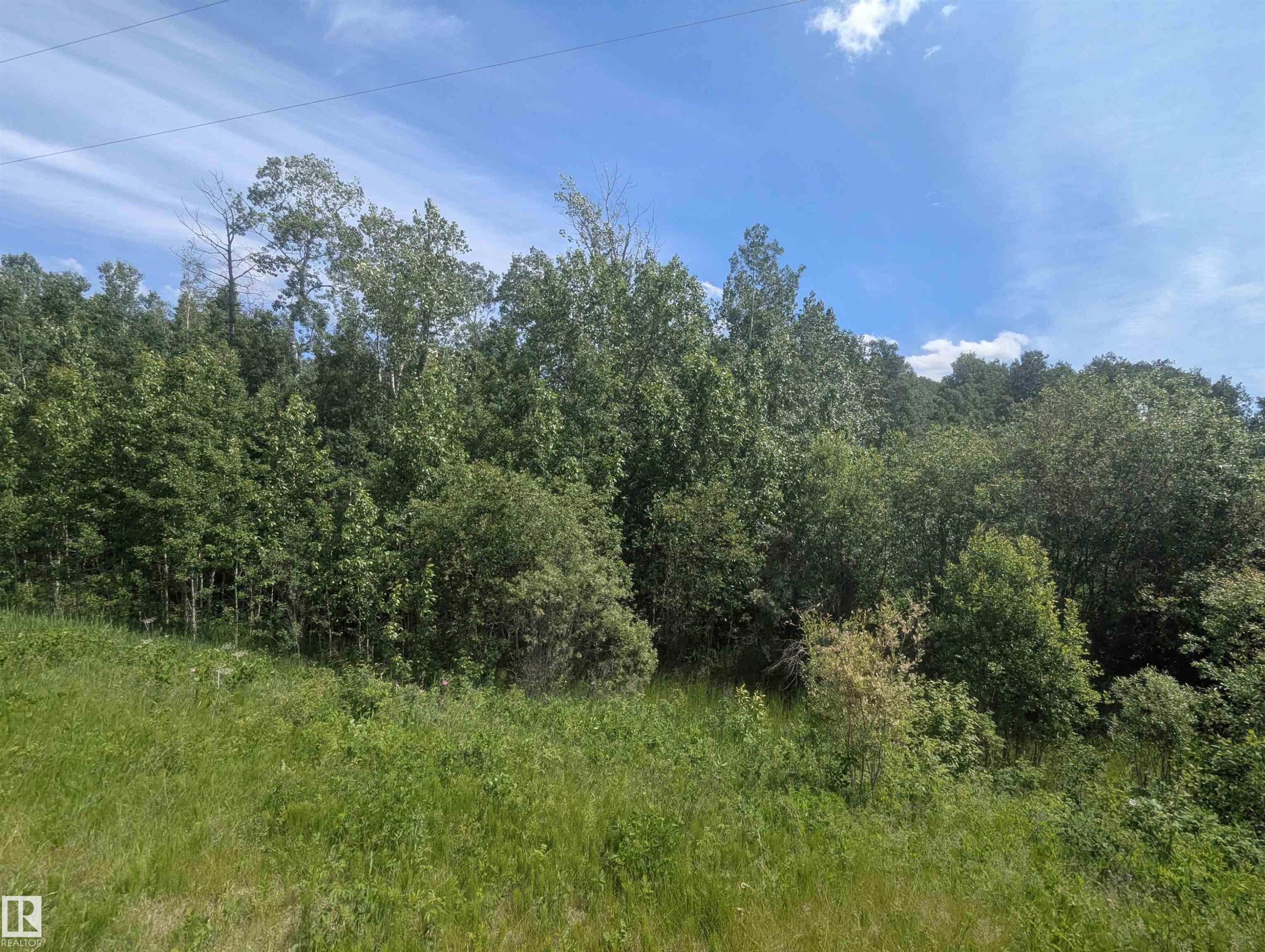 Natural landscape with abundant mature trees and varied green foliage - #38 56110 Rge Road 13, Rural Lac Ste. Anne County, AB