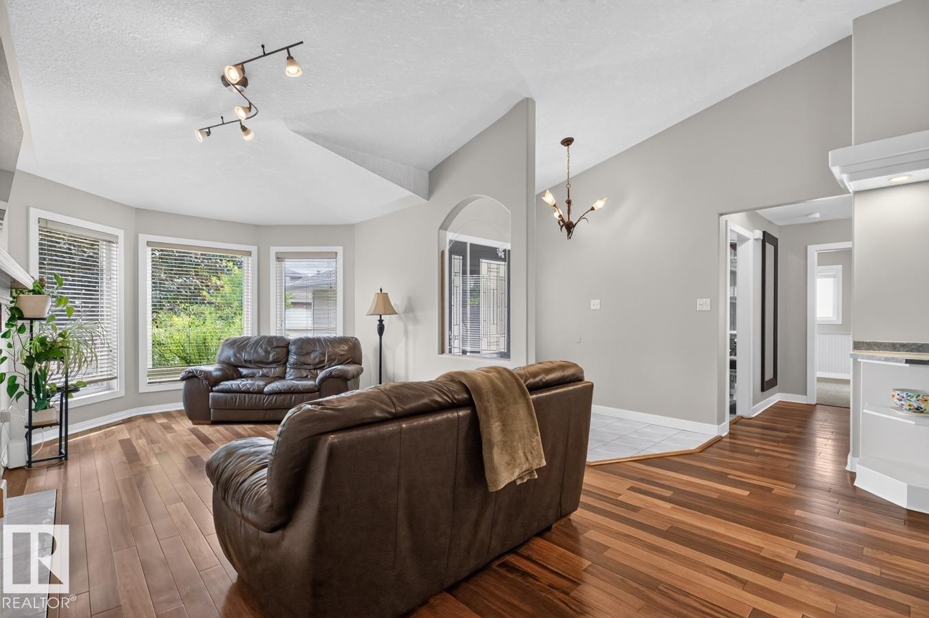 Living area featuring wood-finish flooring, vaulted ceiling, and track lighting - 448 Ormsby Road Nw, Edmonton, AB - Indoor Photo Showing Living Room