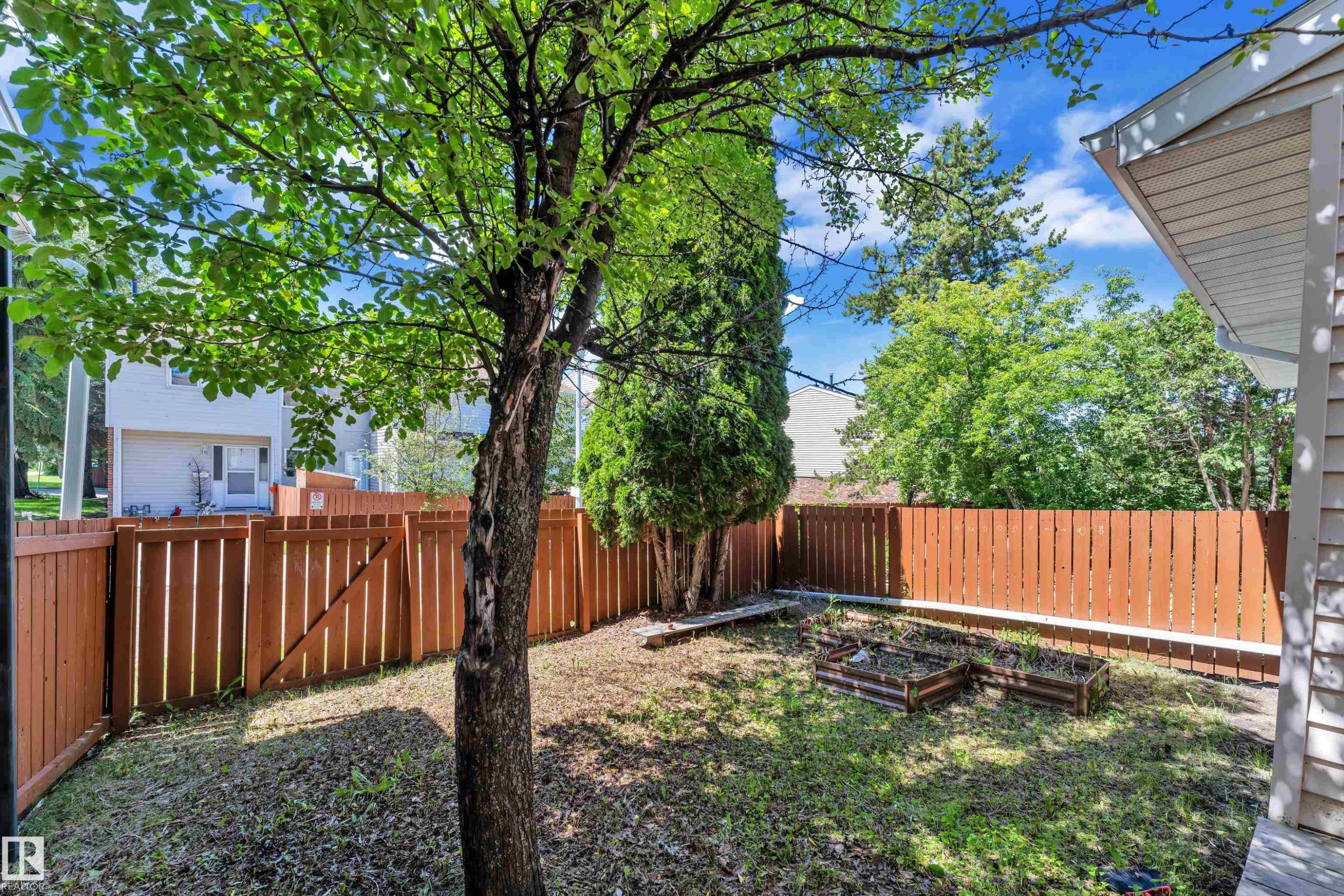 Private backyard featuring wood fencing and mature trees - 6632 36A Avenue, Edmonton, AB