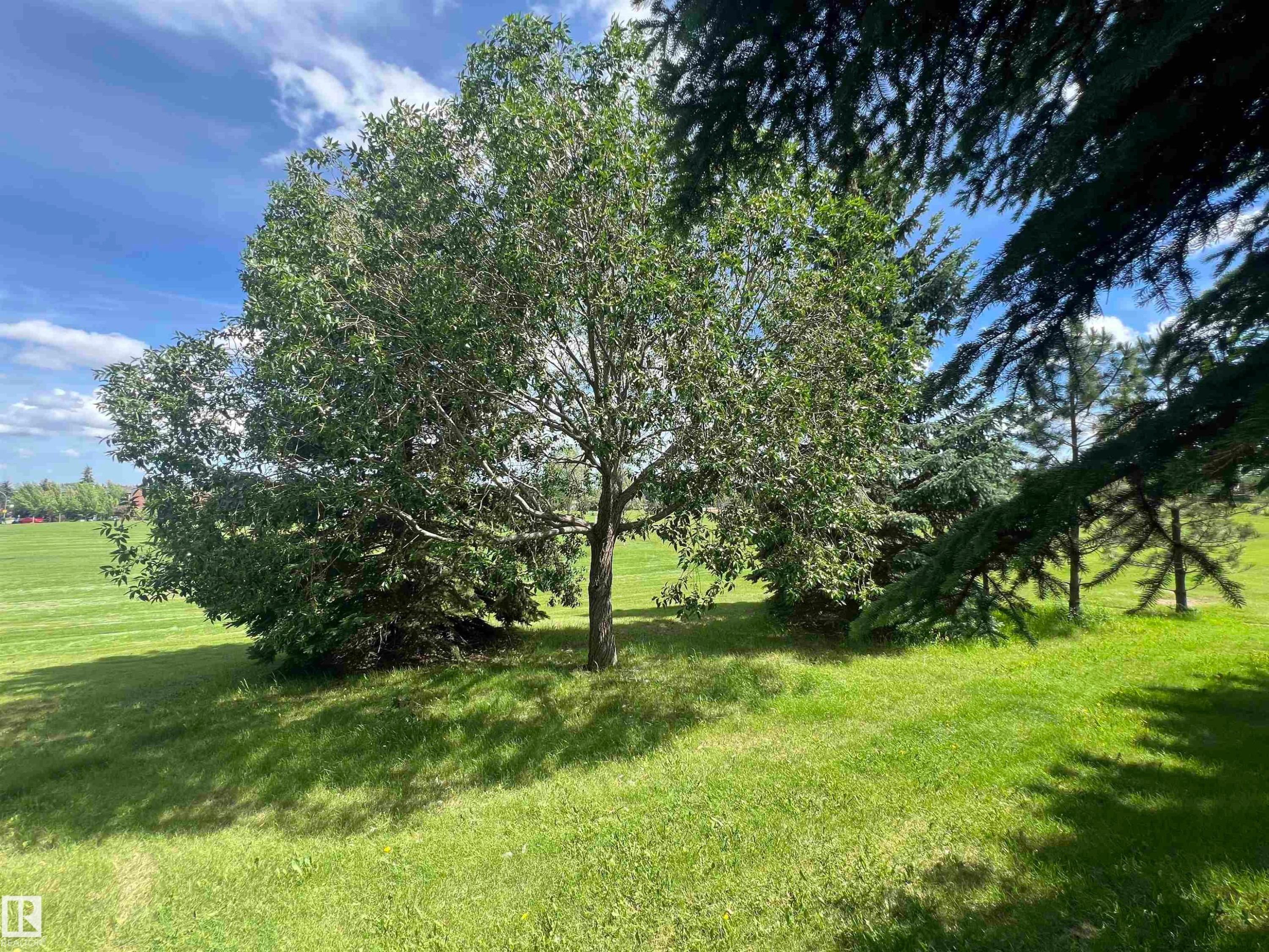 18 6032 38 Avenue, Edmonton, AB