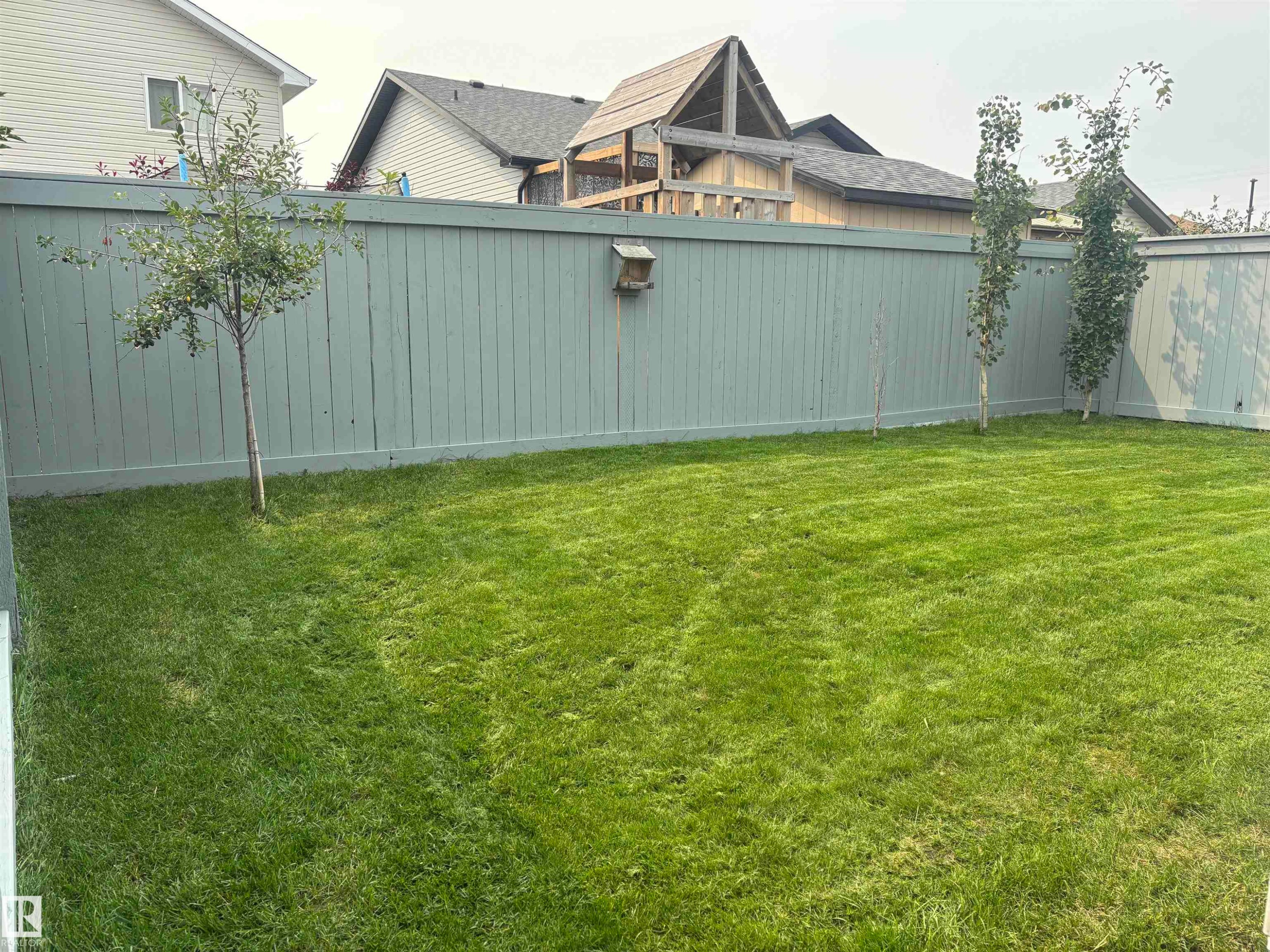 Spacious backyard featuring a lush green lawn, mature trees, and a tall privacy fence - 19039 47 Avenue Nw, Edmonton, AB - Outdoor