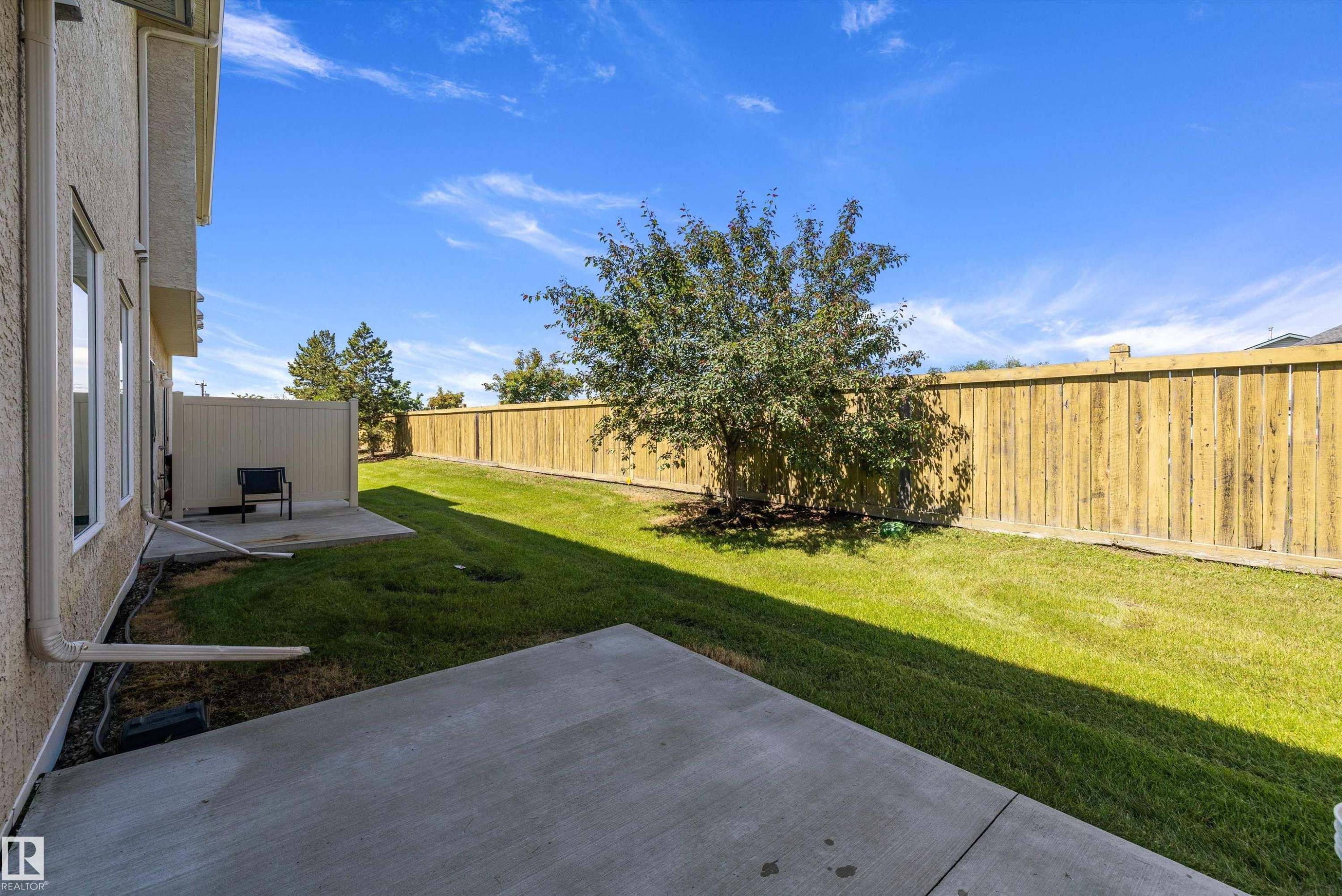 Expansive grassy backyard featuring a mature tree, concrete patio, and full perimeter fencing - 101 13825 155 Avenue, Edmonton, AB