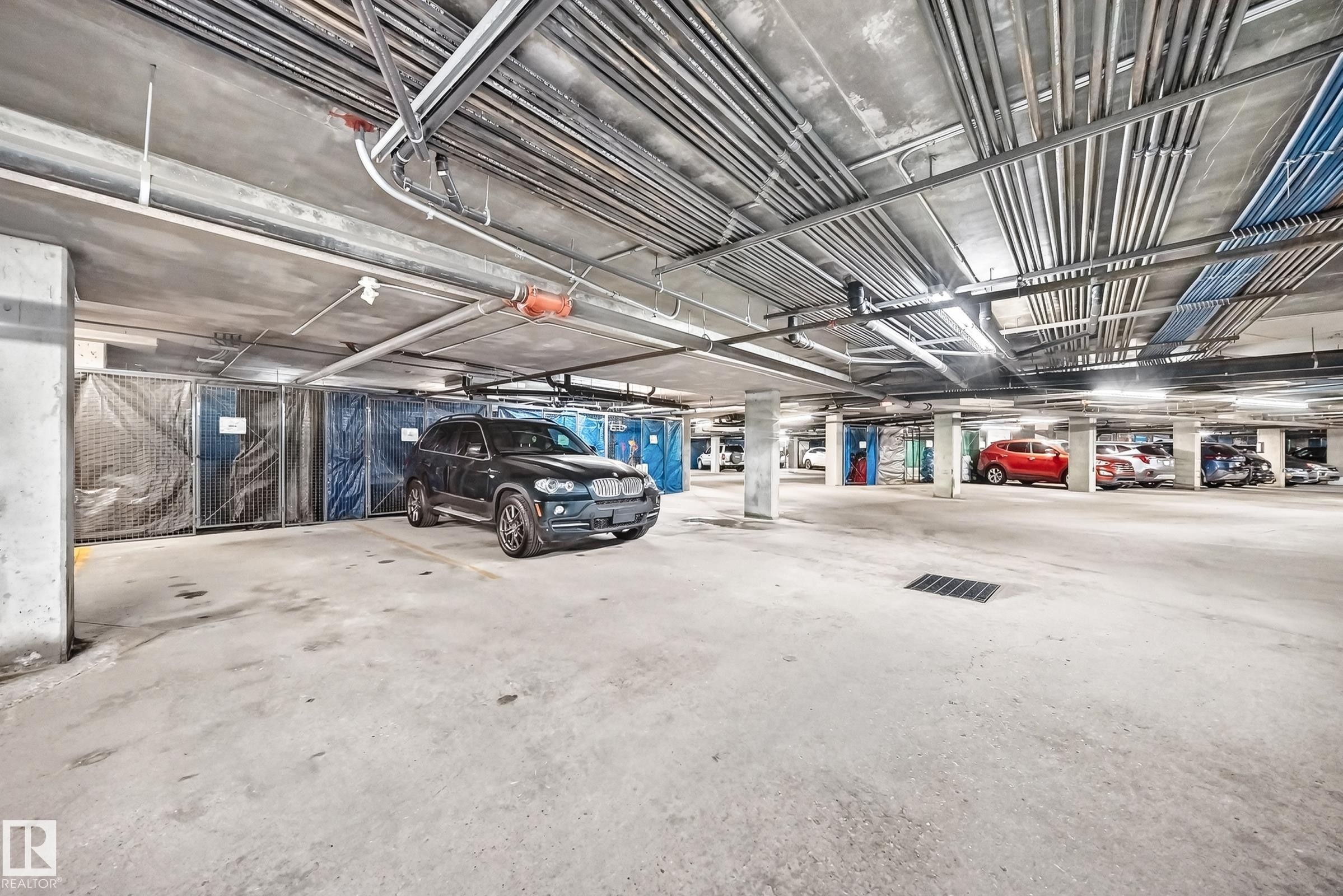 #226 4831 104A St Nw, Edmonton, AB - Indoor Photo Showing Garage