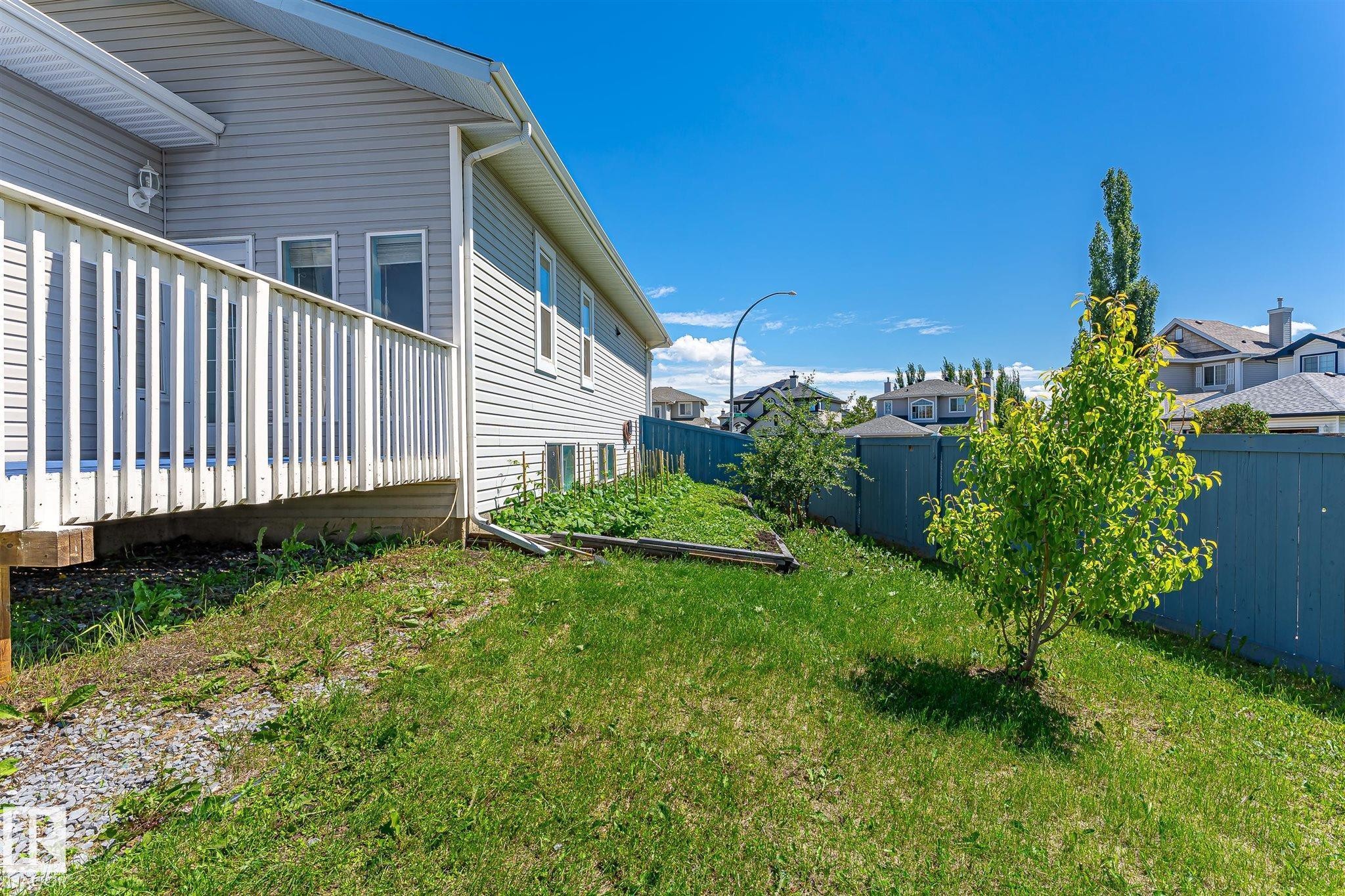 Rear exterior featuring a raised wooden deck, light gray horizontal siding, multiple windows, a green lawn, and a painted wooden fence - 14908 137 Street Nw, Edmonton, AB - Outdoor