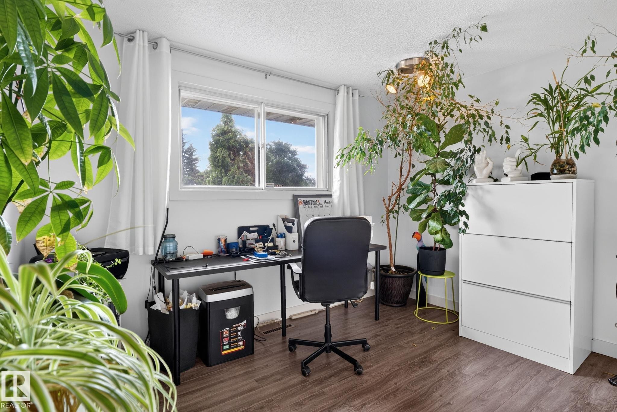 White walls with wood-finish flooring - 7539 149A Avenue Nw, Edmonton, AB - Indoor