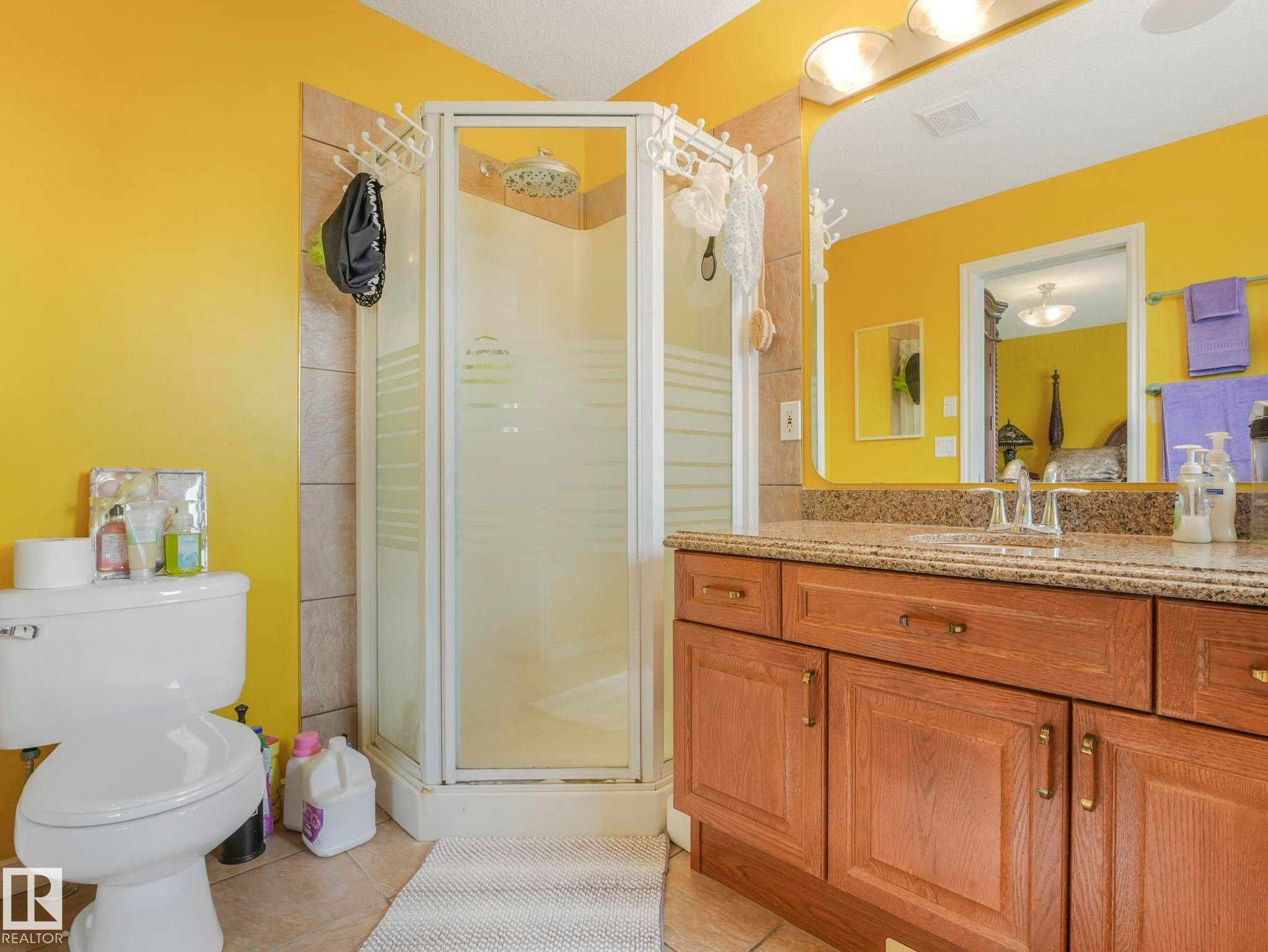 16237 129A Street Nw, Edmonton, AB - Indoor Photo Showing Bathroom