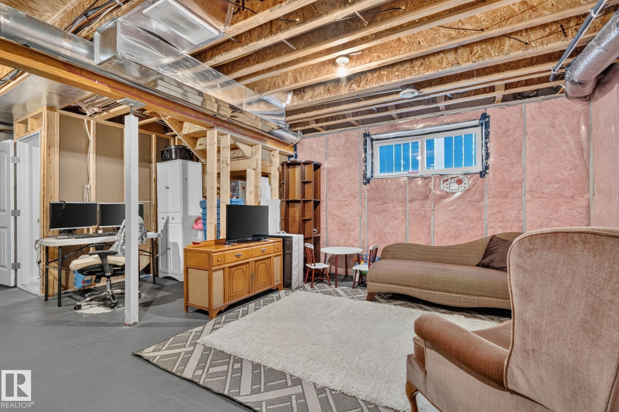 866 Ebbers Crescent Nw, Edmonton, AB - Indoor Photo Showing Basement