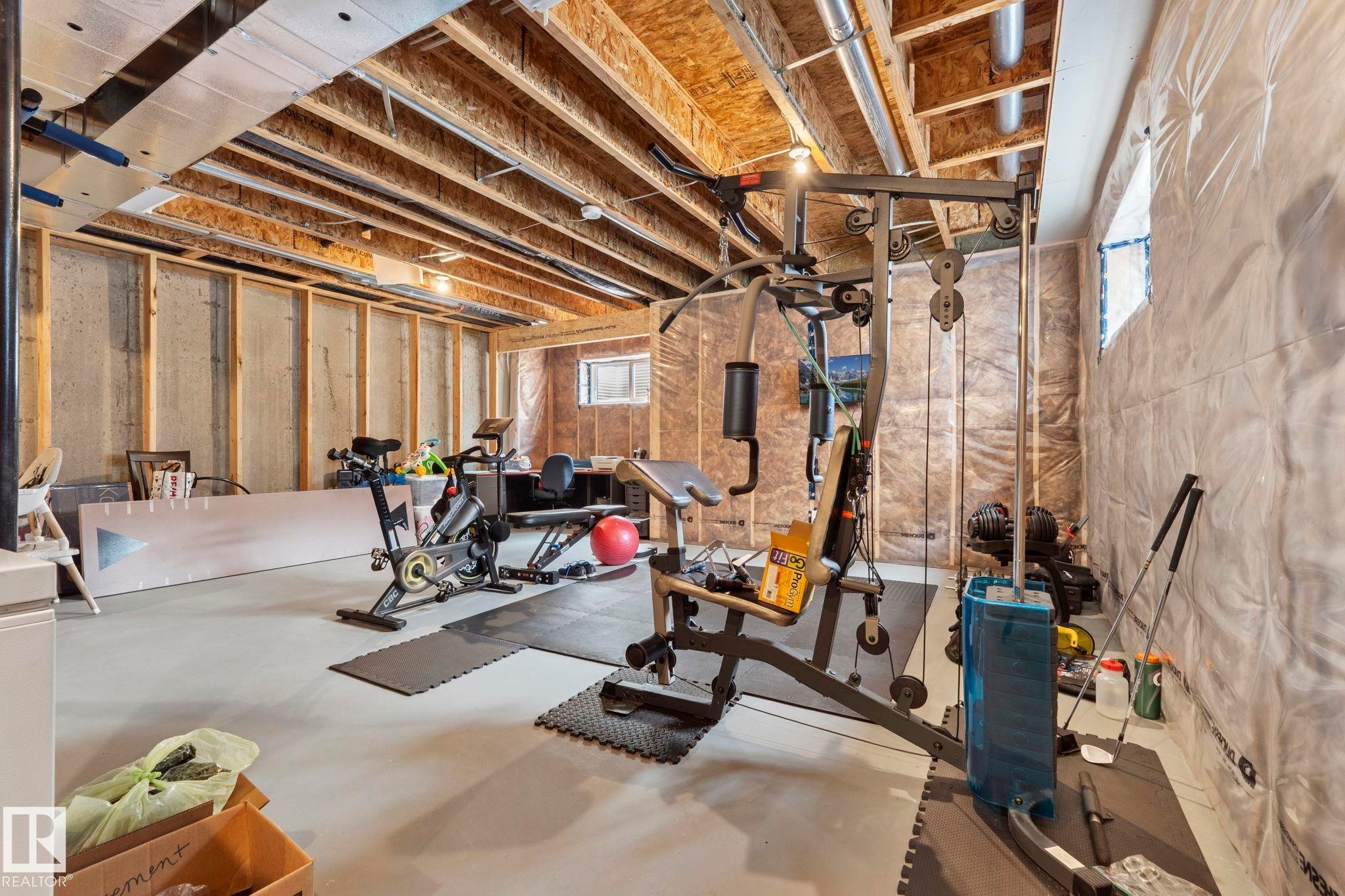 17308 49 Street Nw, Edmonton, AB - Indoor Photo Showing Basement
