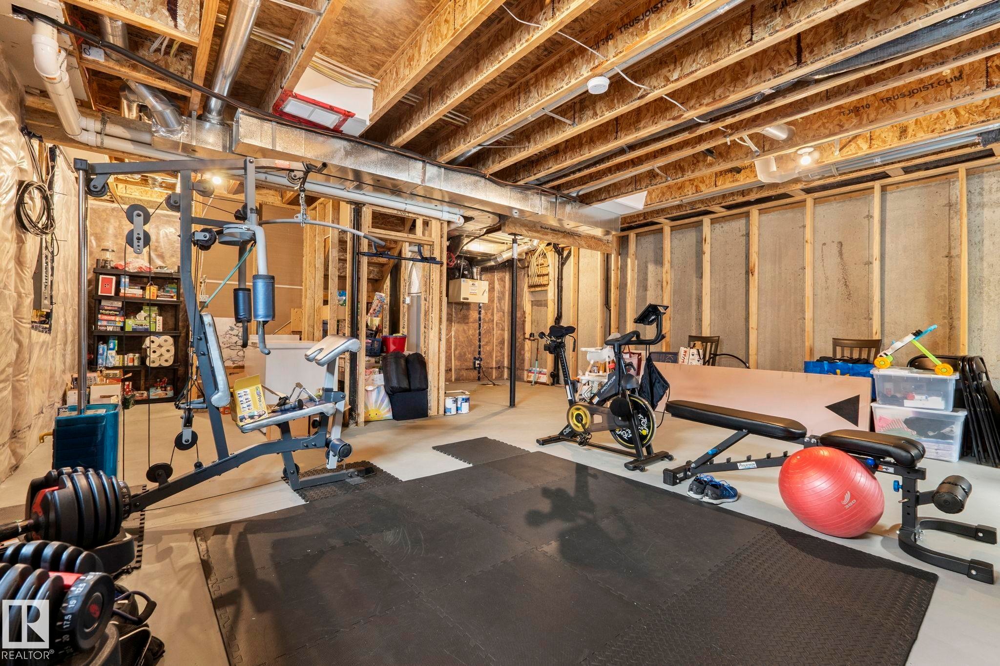 17308 49 Street Nw, Edmonton, AB - Indoor Photo Showing Basement