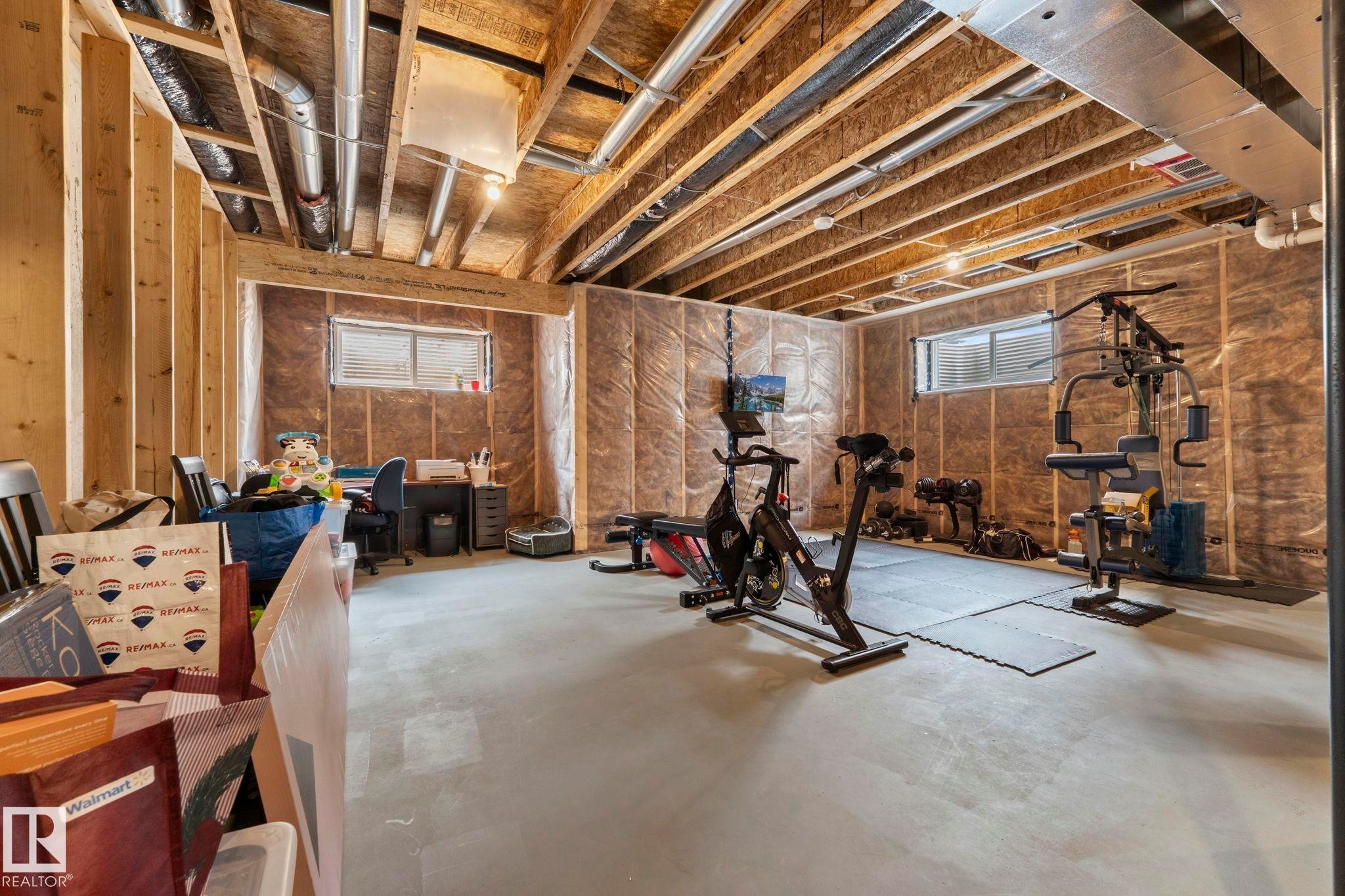 17308 49 Street Nw, Edmonton, AB - Indoor Photo Showing Basement