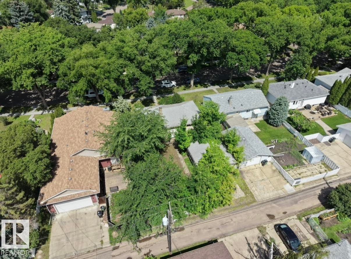 Aerial perspective highlighting the property with surrounding mature trees - 8719 67 Avenue Nw, Edmonton, AB - Outdoor With View