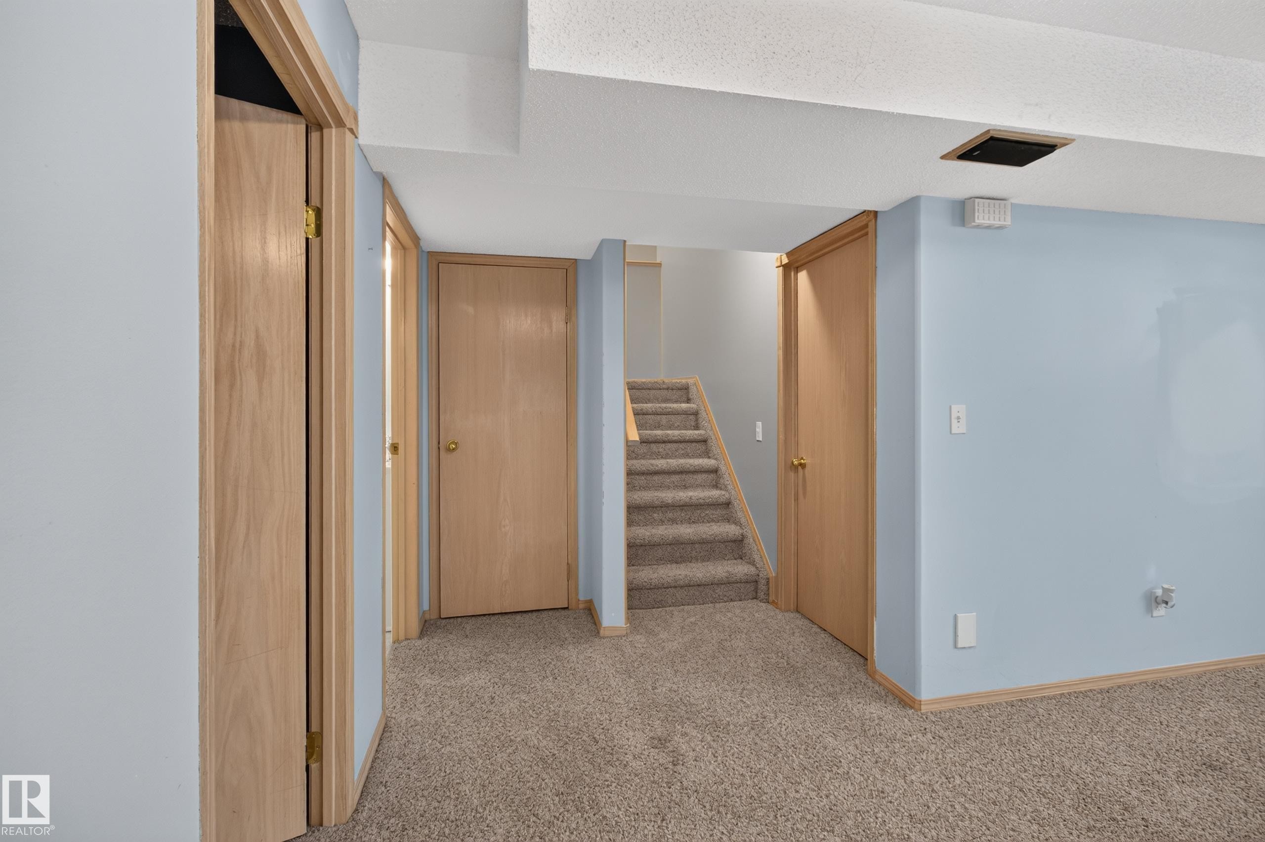 Carpeted lower-level space with light blue painted walls - 13406 32A Street, Edmonton, AB