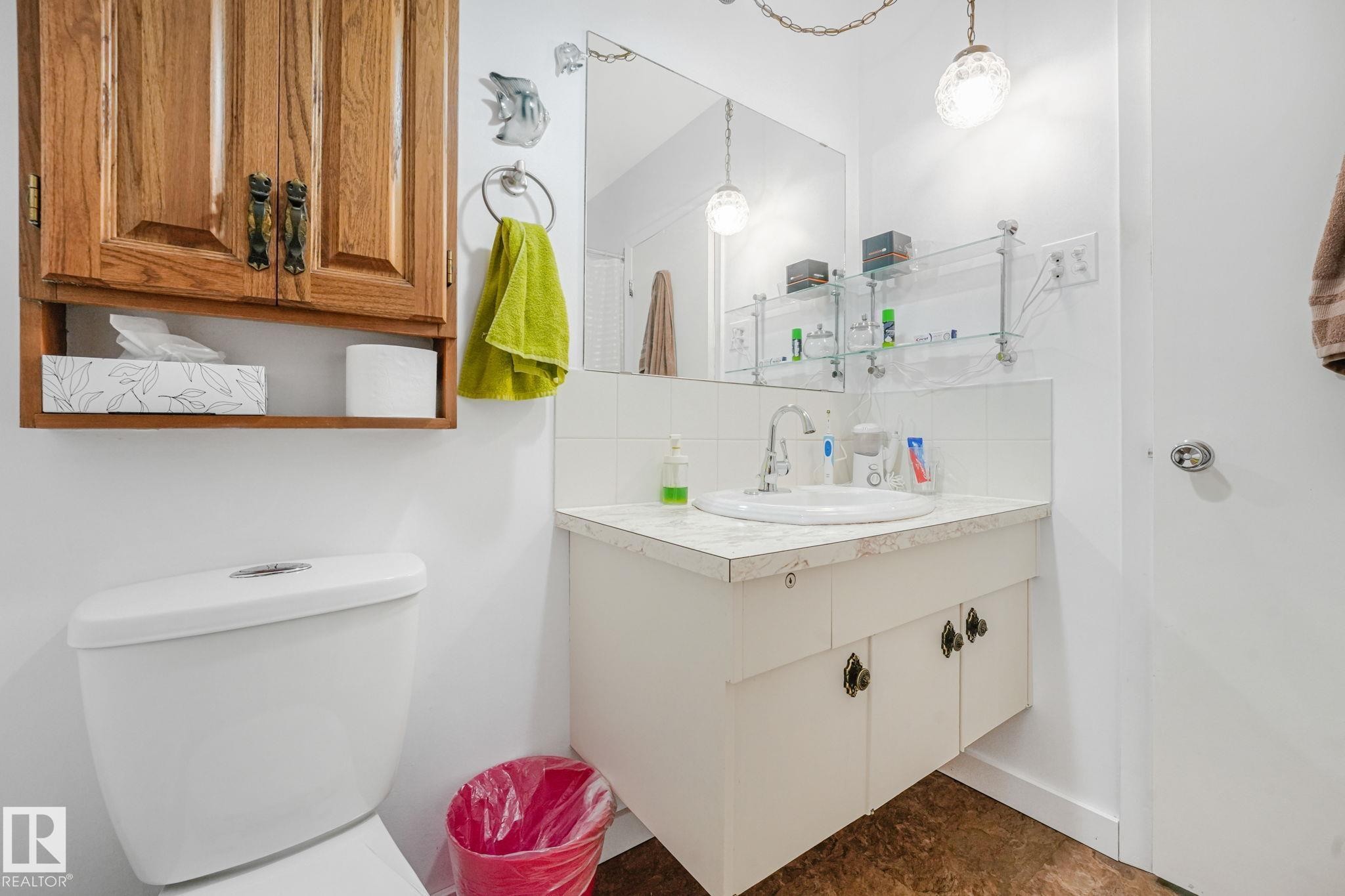 14203 74 Street Nw, Edmonton, AB - Indoor Photo Showing Bathroom