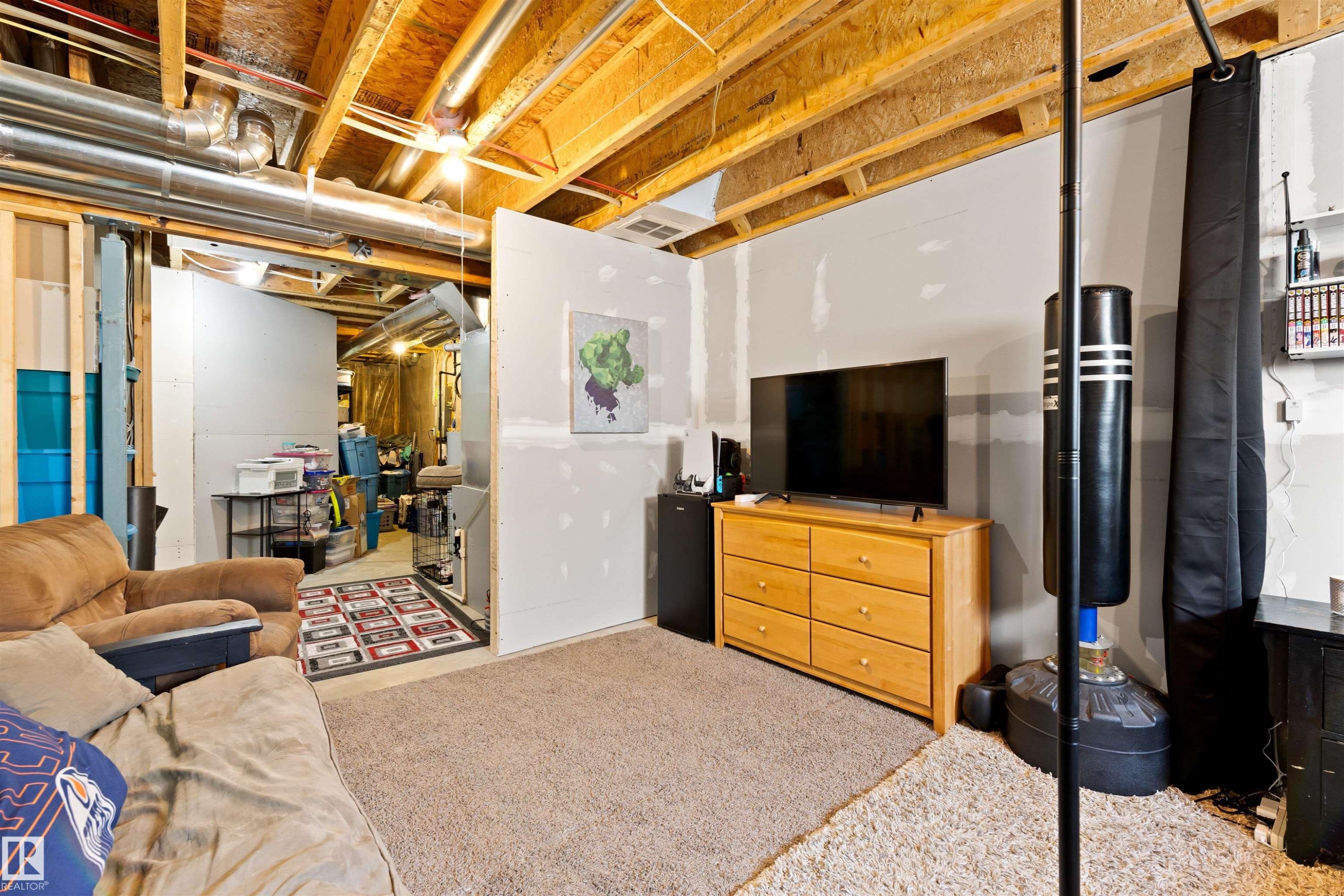 60 Red Tail Way, St. Albert, AB - Indoor Photo Showing Basement