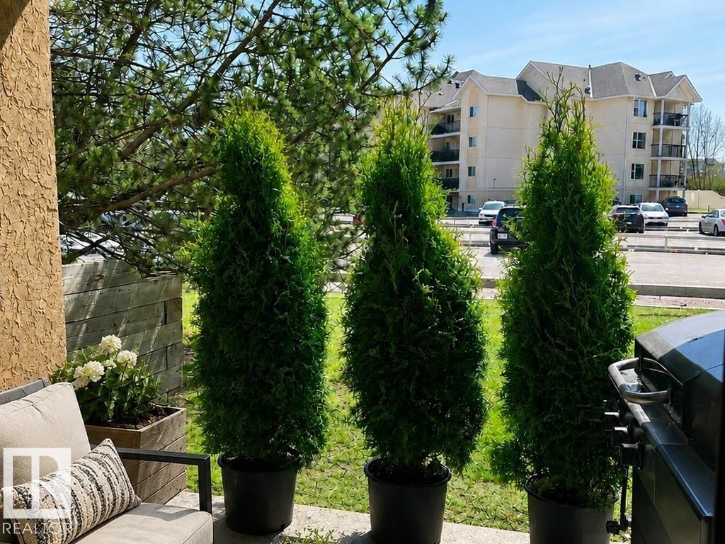 Outdoor patio space featuring a textured stucco exterior, a wood-paneled privacy wall with an integrated planter, and mature evergreen plantings - #143 10636 120 St Nw, Edmonton, AB - Outdoor
