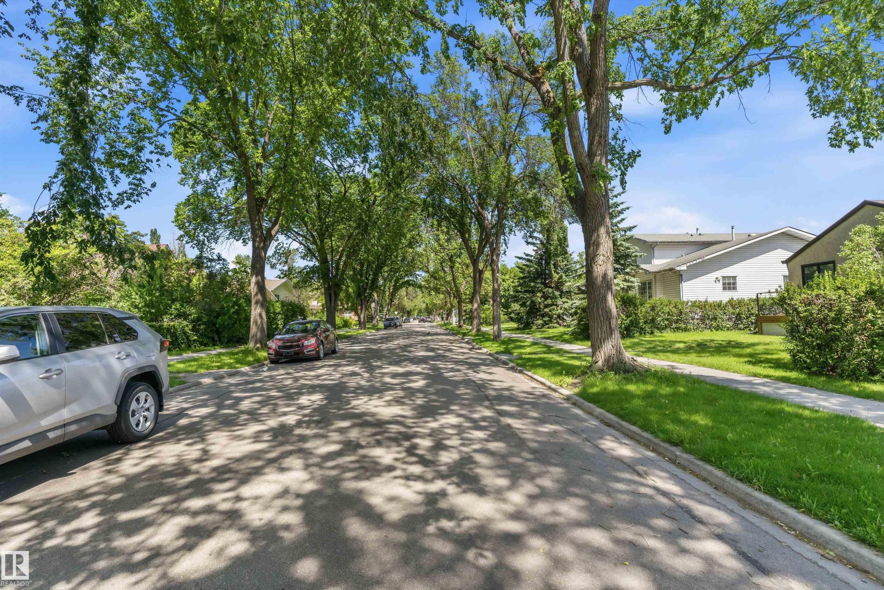Tree-lined street with mature foliage and sidewalk - 11619 123 Street, Edmonton, AB