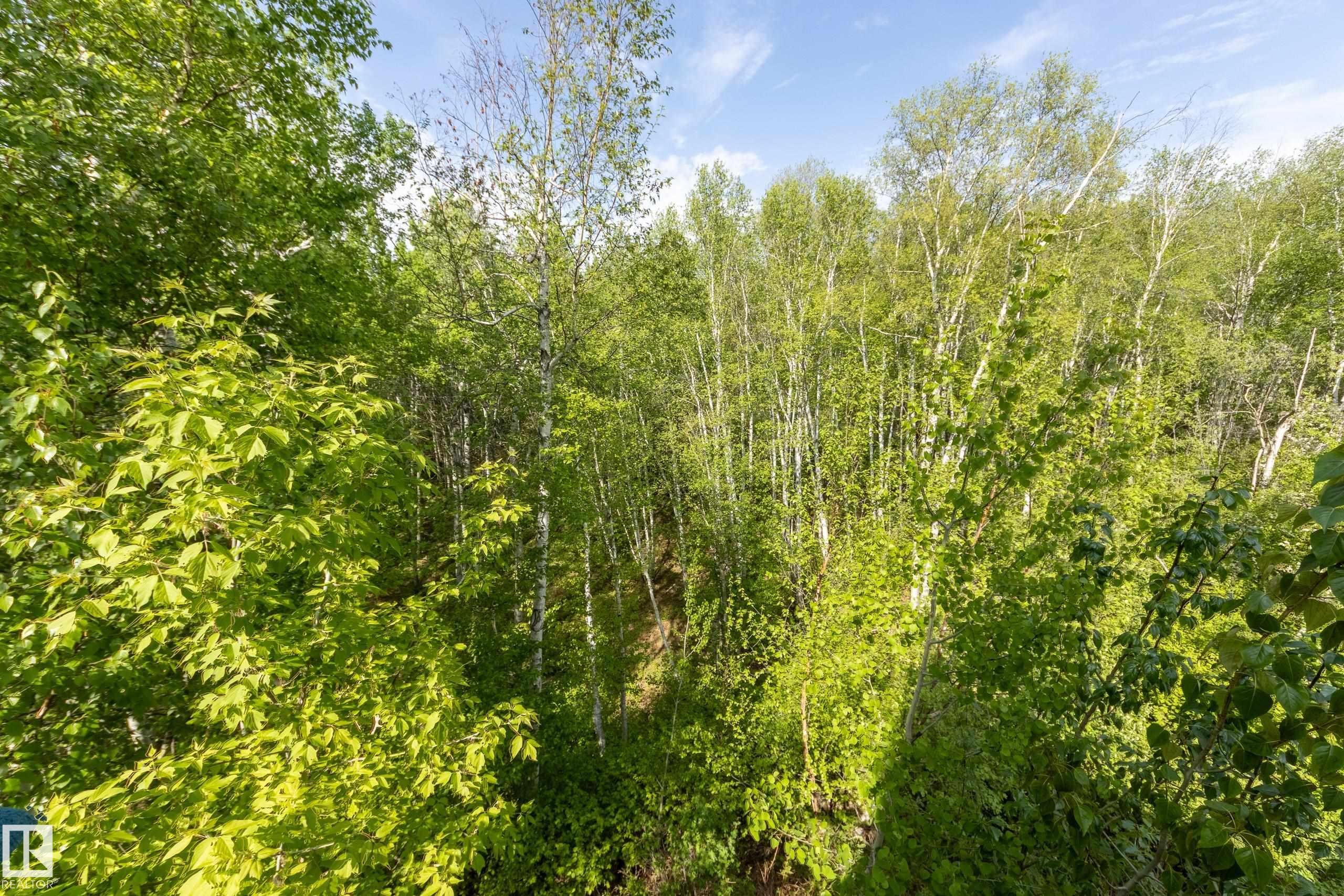 3-54227 Rge Road 275, Rural Sturgeon County, AB - Outdoor