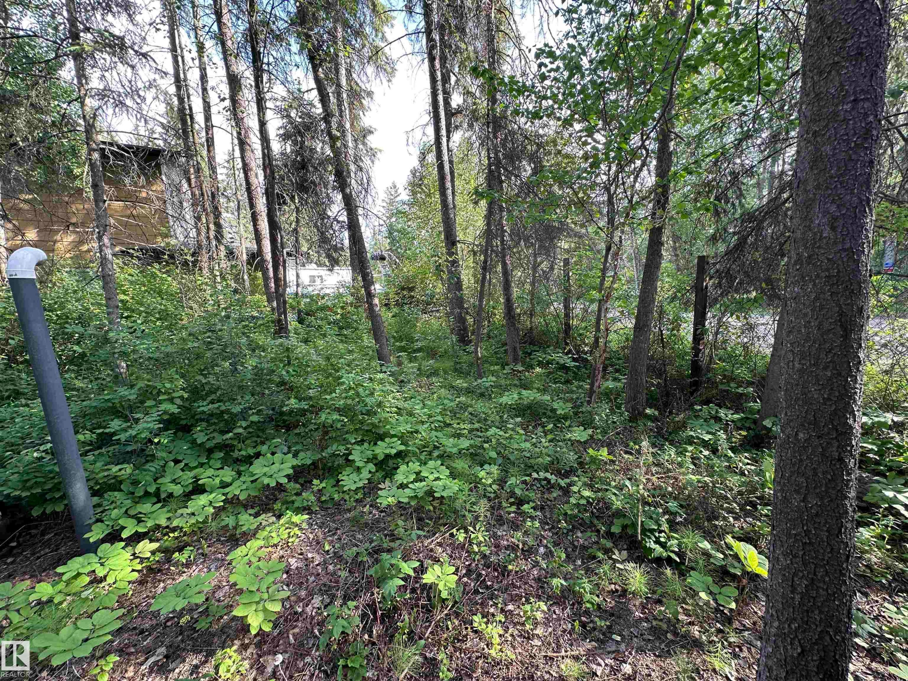 4307 Spruce Point(E), Rural Lac Ste. Anne County, AB