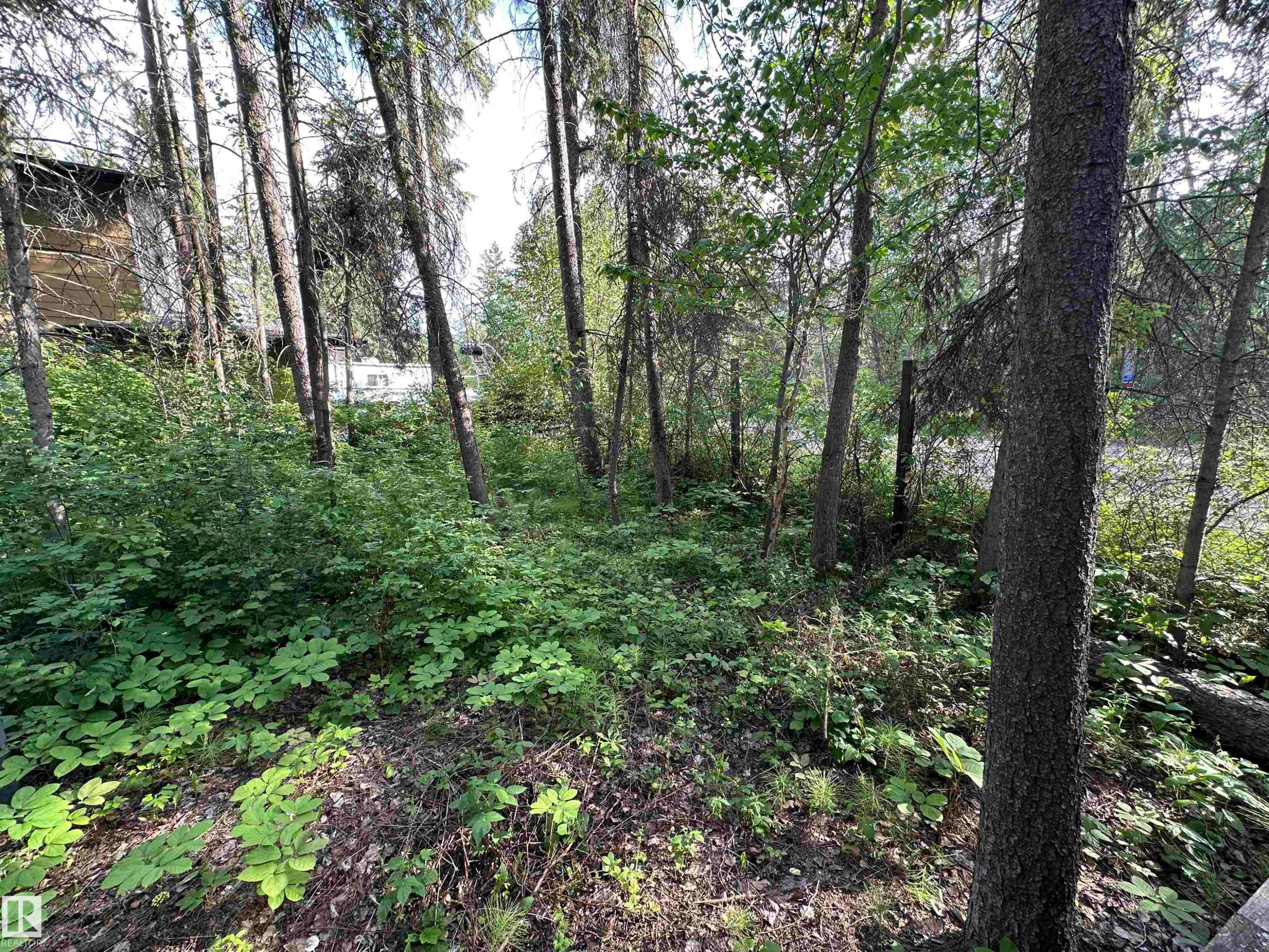 4307 Spruce Point(E), Rural Lac Ste. Anne County, AB