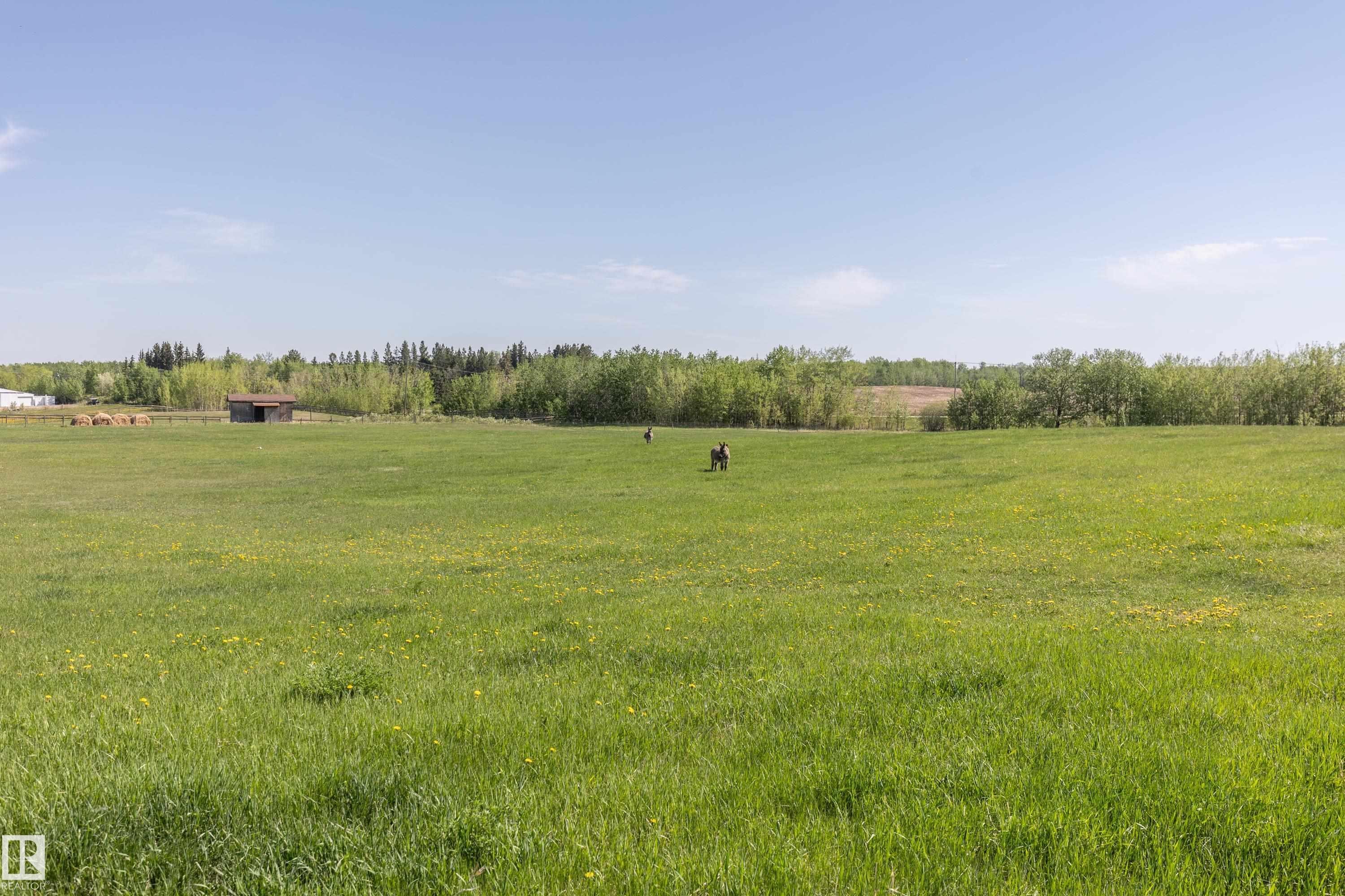 90 22111 Twp Rd 510, Rural Leduc County, AB - Outdoor With View