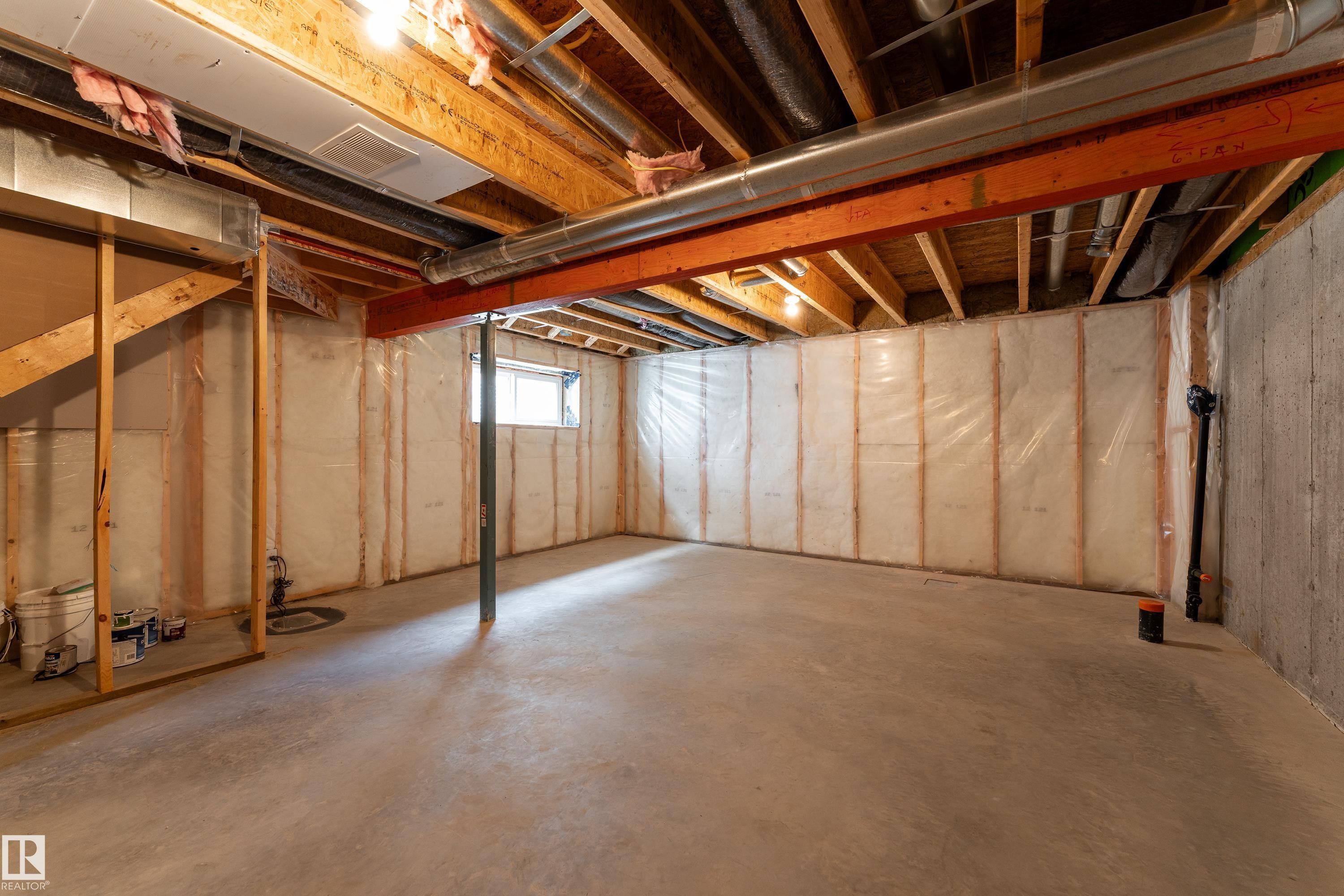8589 Cushing Place Sw, Edmonton, AB - Indoor Photo Showing Basement