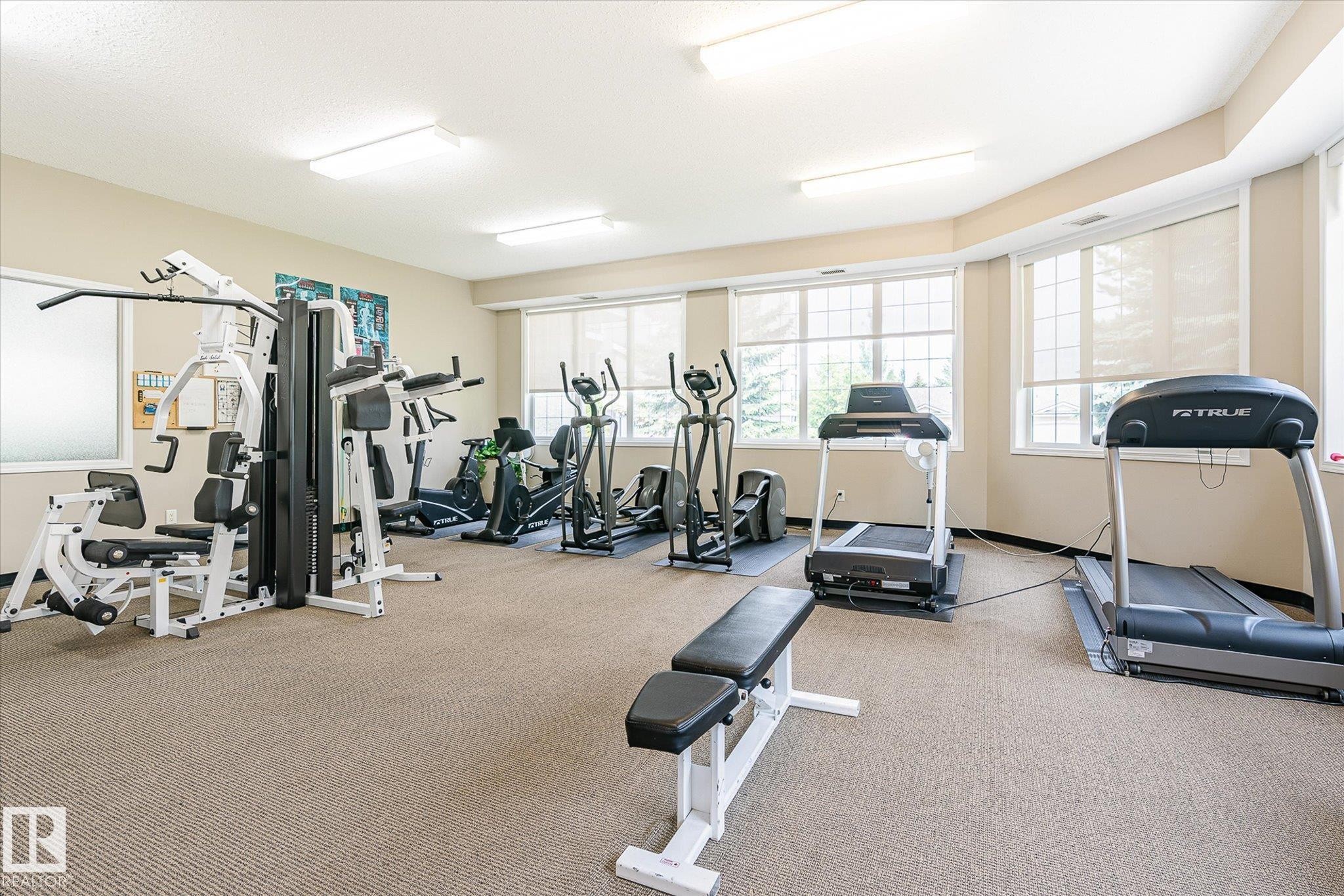 Dedicated fitness area featuring multiple exercise machines including treadmills, ellipticals, and a multi-station weight system - #310 237 Youville Dr E Nw, Edmonton, AB - Indoor Photo Showing Gym Room