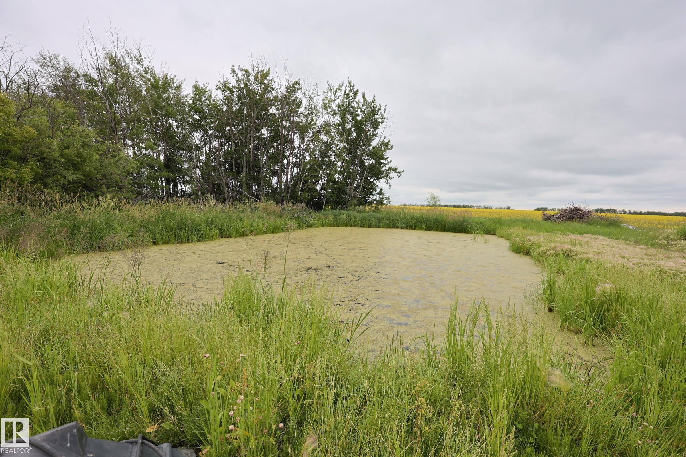 59503 Hwy 2, Rural Westlock County, AB