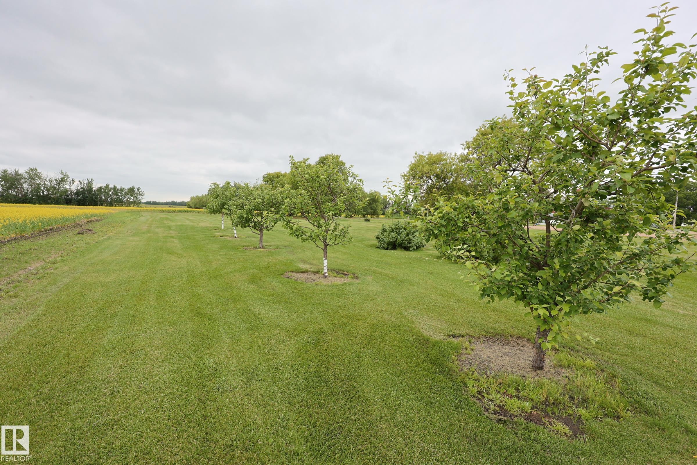 59503 Hwy 2, Rural Westlock County, AB