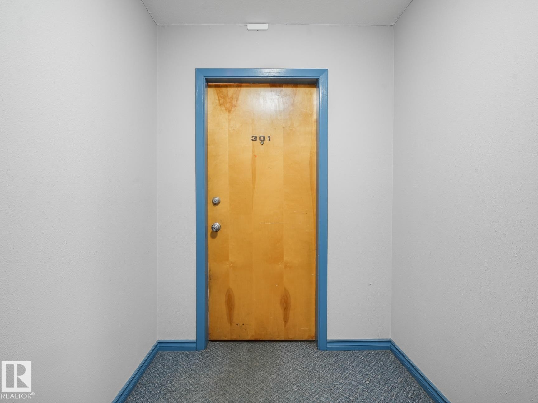 Light wood-finish door with blue trim and contrasting white walls - #301 10528 29 Av Nw, Edmonton, AB