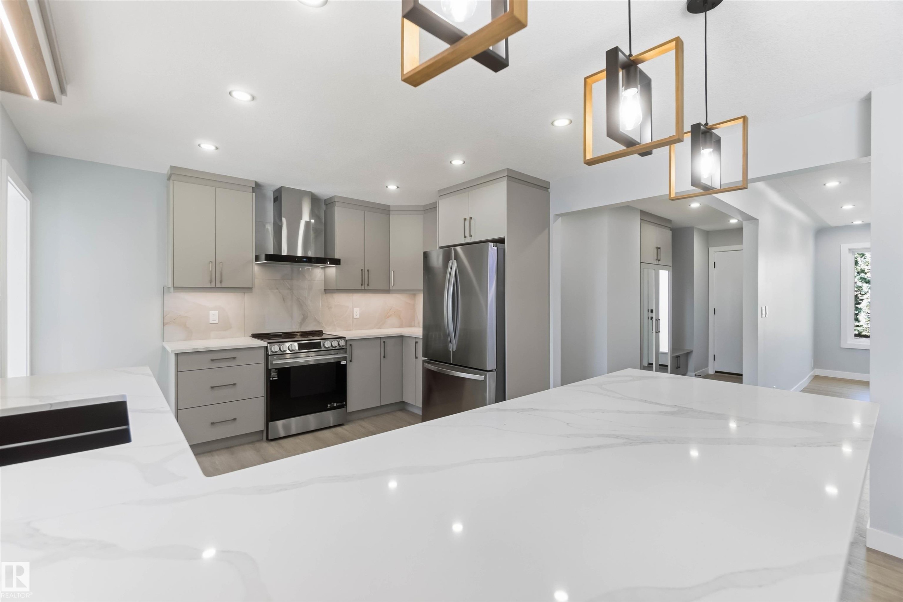 8736 66 Avenue Nw, Edmonton, AB - Indoor Photo Showing Kitchen With Stainless Steel Kitchen With Upgraded Kitchen