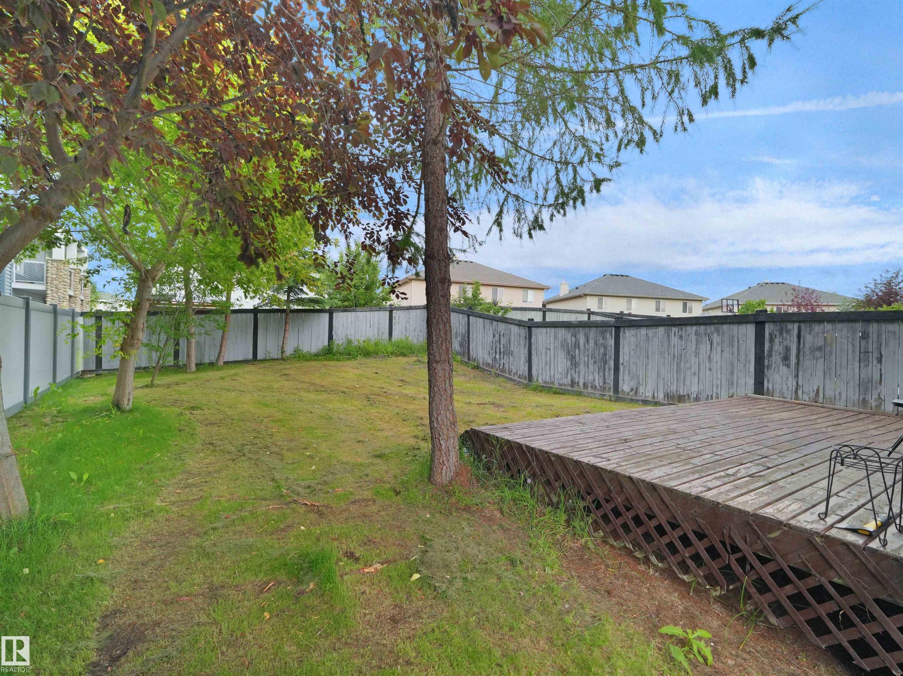 Expansive backyard featuring a wood deck, mature trees, and a combination of wood and composite fencing - 16106 131A Street Nw, Edmonton, AB - Outdoor
