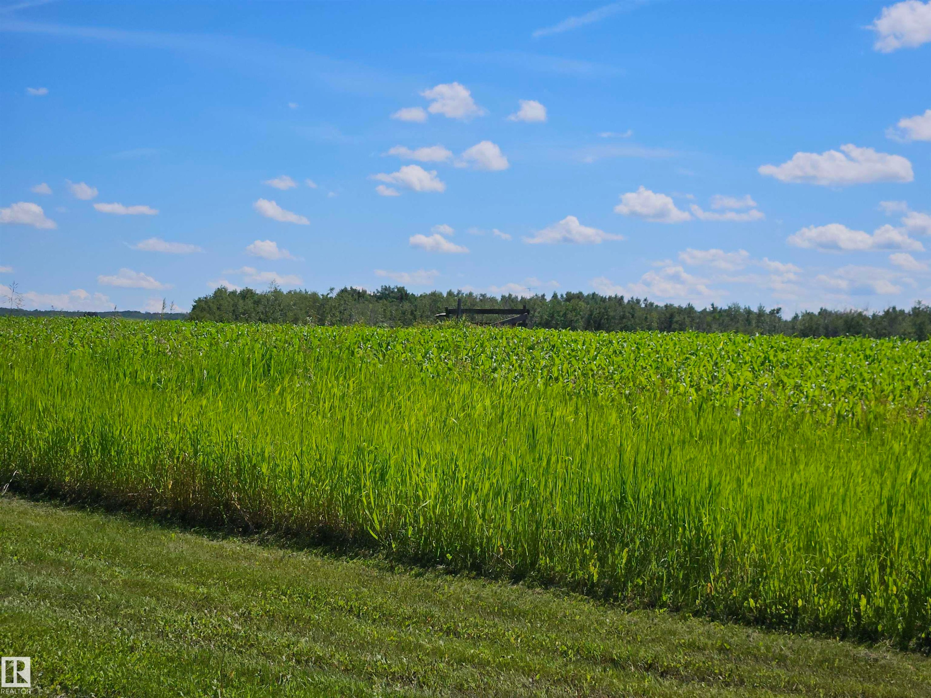 57415 Range Road 93, Rural St. Paul County, AB - Outdoor With View
