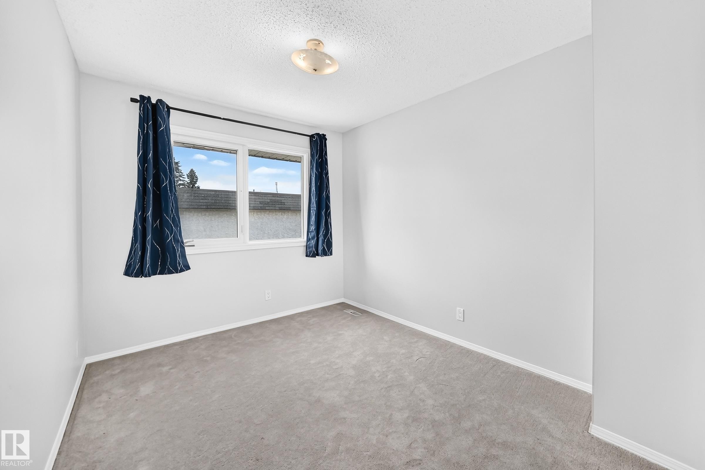 Bright room with a large window and light gray carpet - 11447 22 Avenue Nw, Edmonton, AB - Indoor Photo Showing Other Room