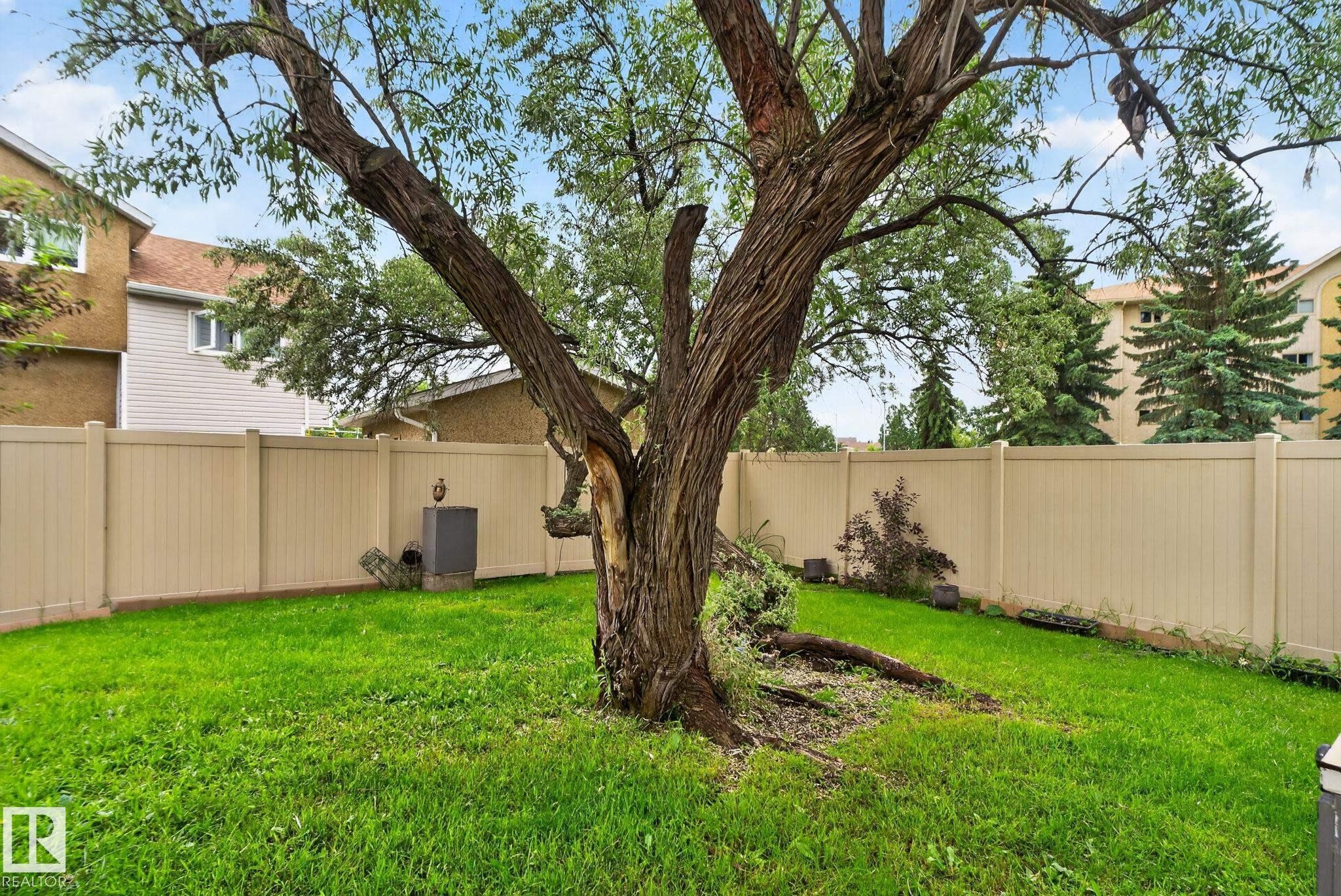 Expansive backyard featuring a mature tree, manicured lawn, and a beige privacy fence - 9503 180A Street Nw, Edmonton, AB - Outdoor