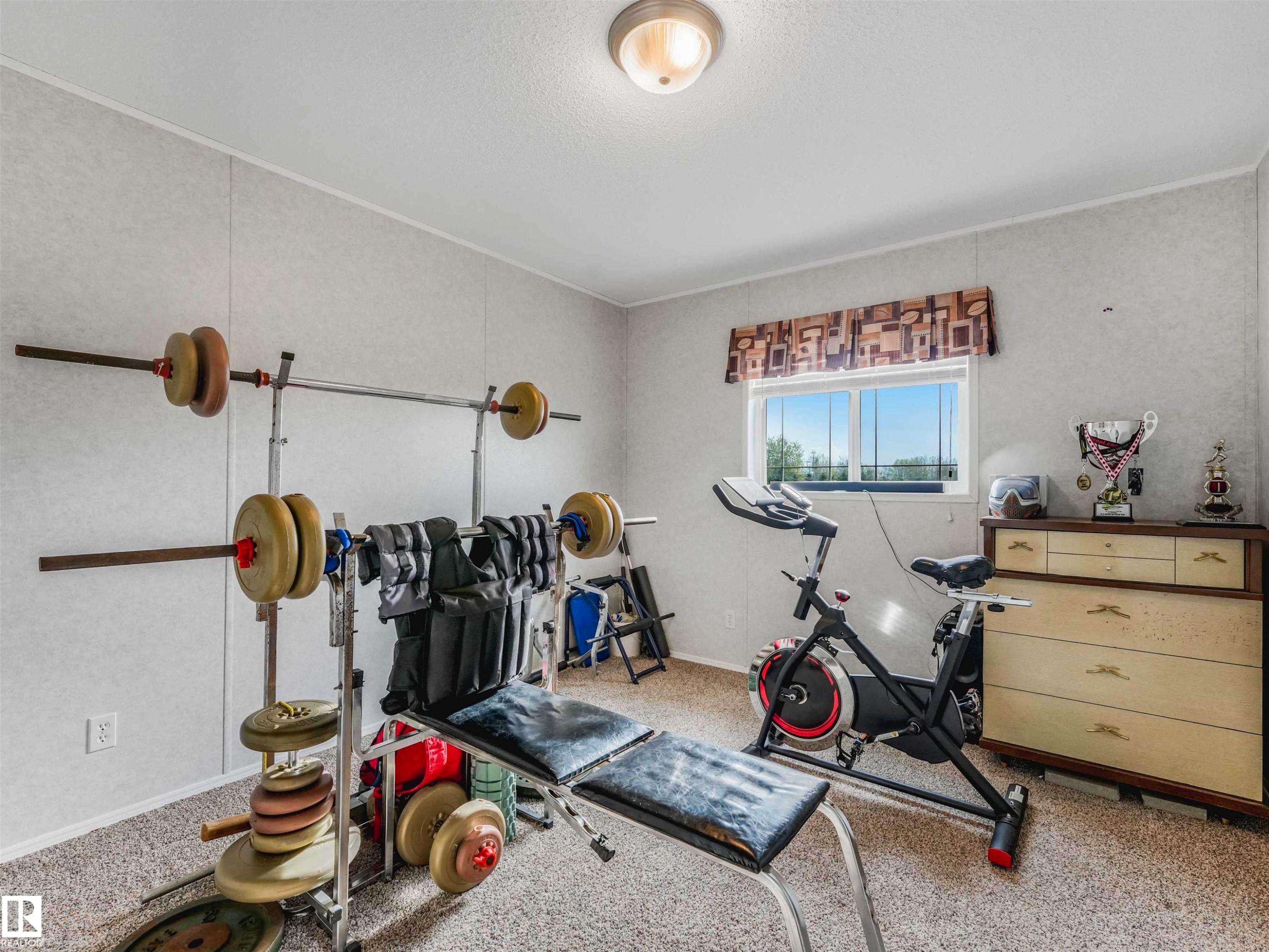 Carpeted room with a window providing natural light, featuring a ceiling-mounted light fixture - 57016 Range Road 13, Rural Barrhead County, AB - Indoor Photo Showing Gym Room
