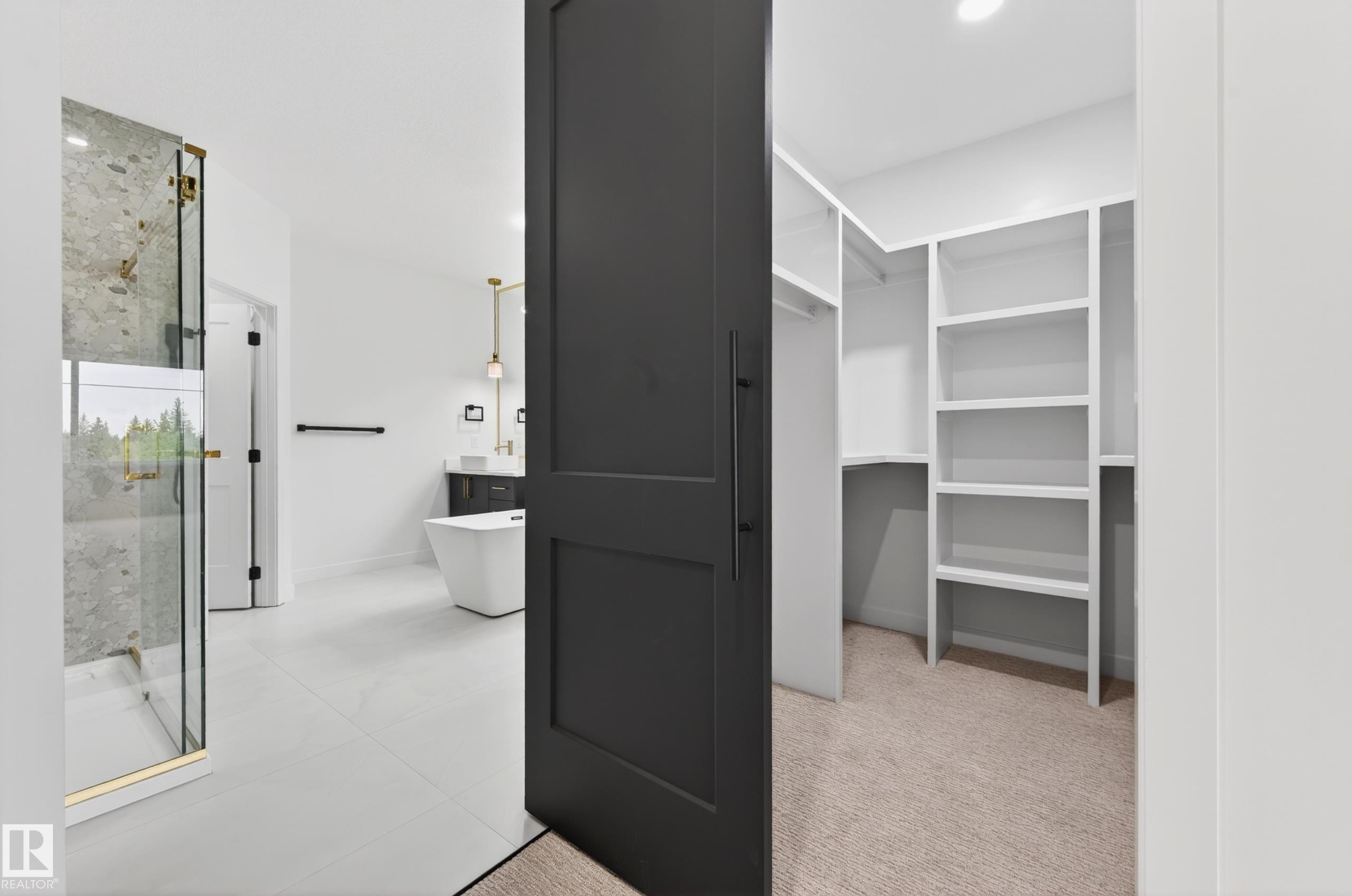 Walk-in closet with built-in shelving, carpet flooring, and a barn door entry - 431 172 Avenue, Edmonton, AB - Indoor Photo Showing Other Room