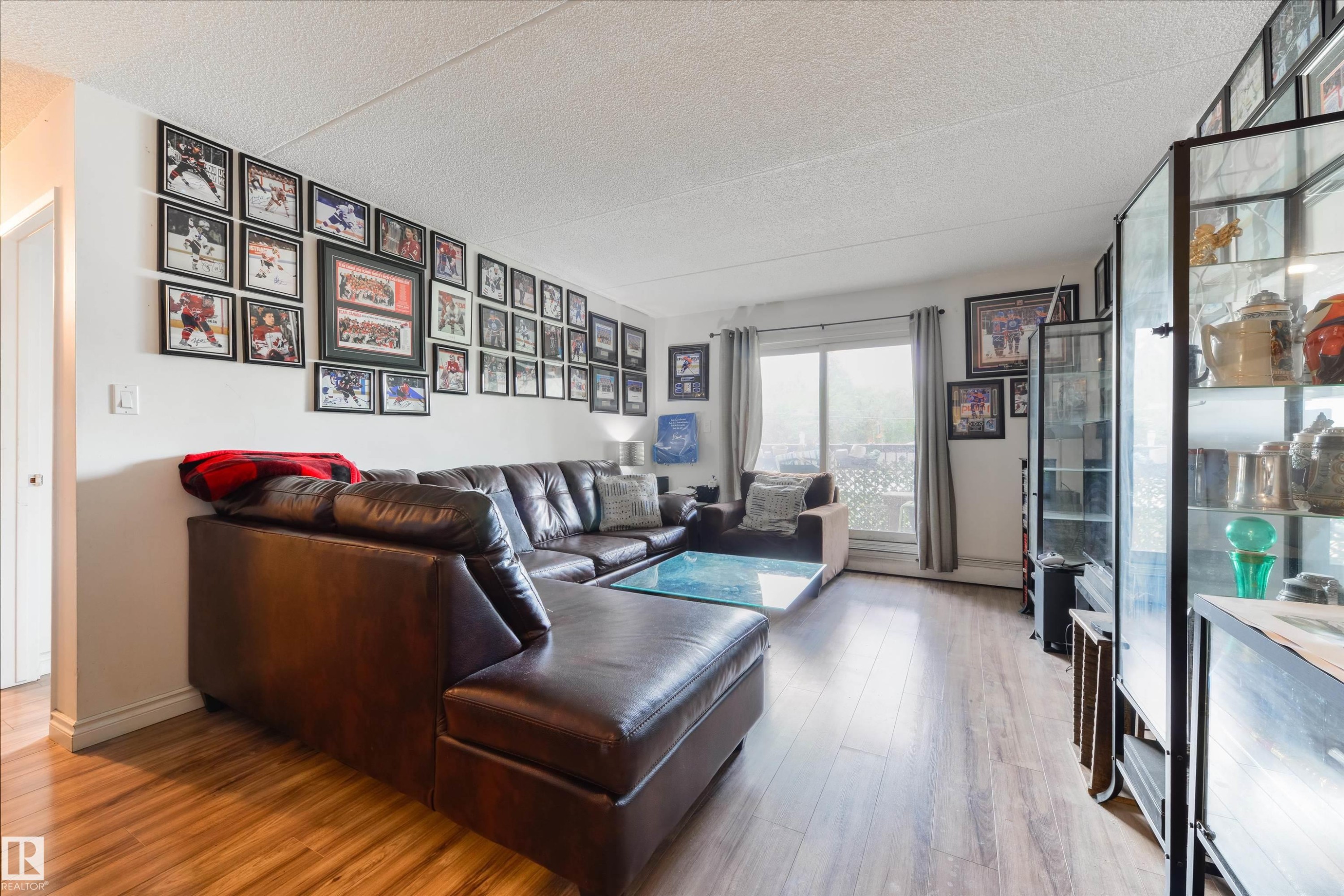 #204 11026 106 St Nw, Edmonton, AB - Indoor Photo Showing Living Room