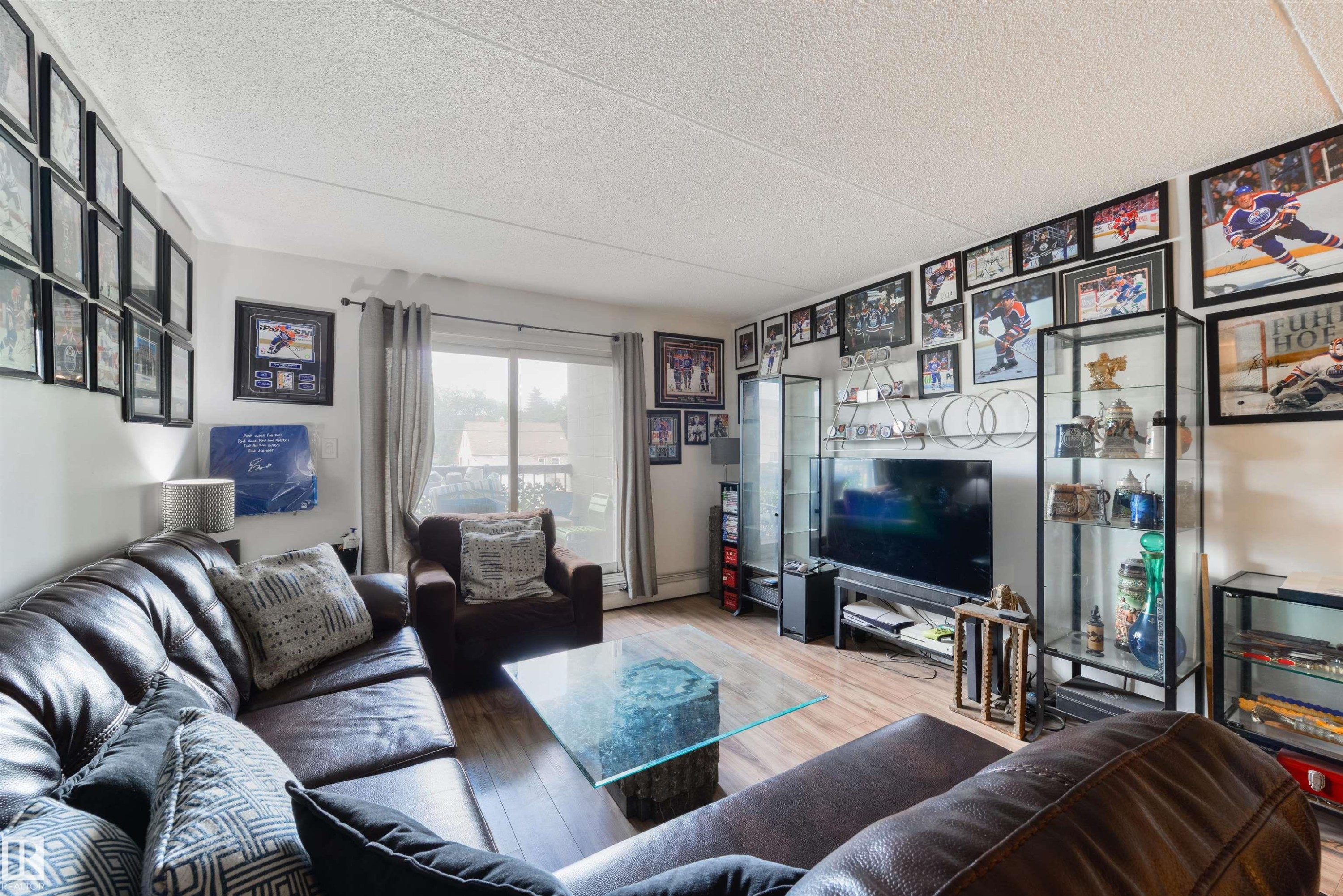 #204 11026 106 St Nw, Edmonton, AB - Indoor Photo Showing Living Room
