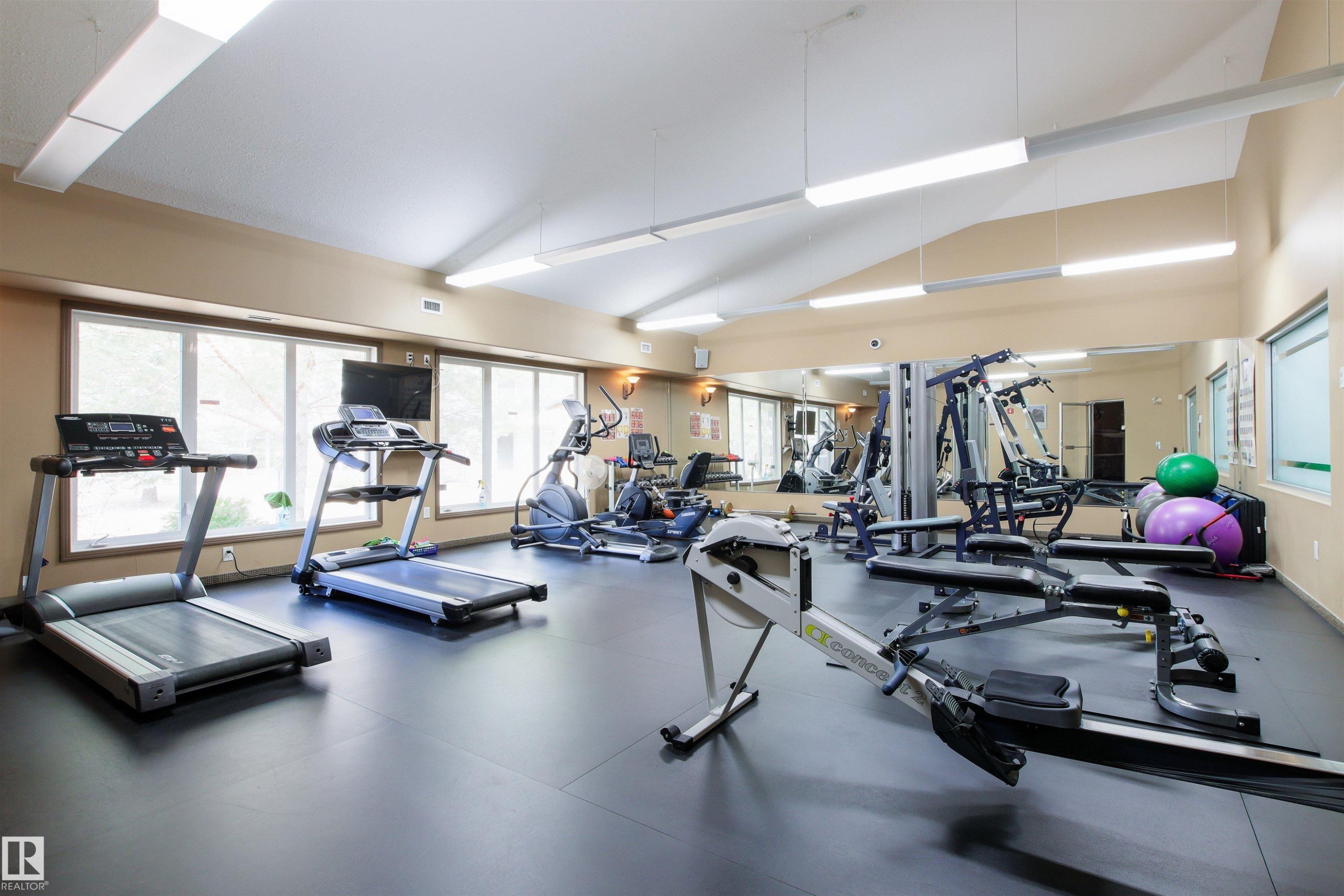 #203 8956 156 St Nw, Edmonton, AB - Indoor Photo Showing Gym Room